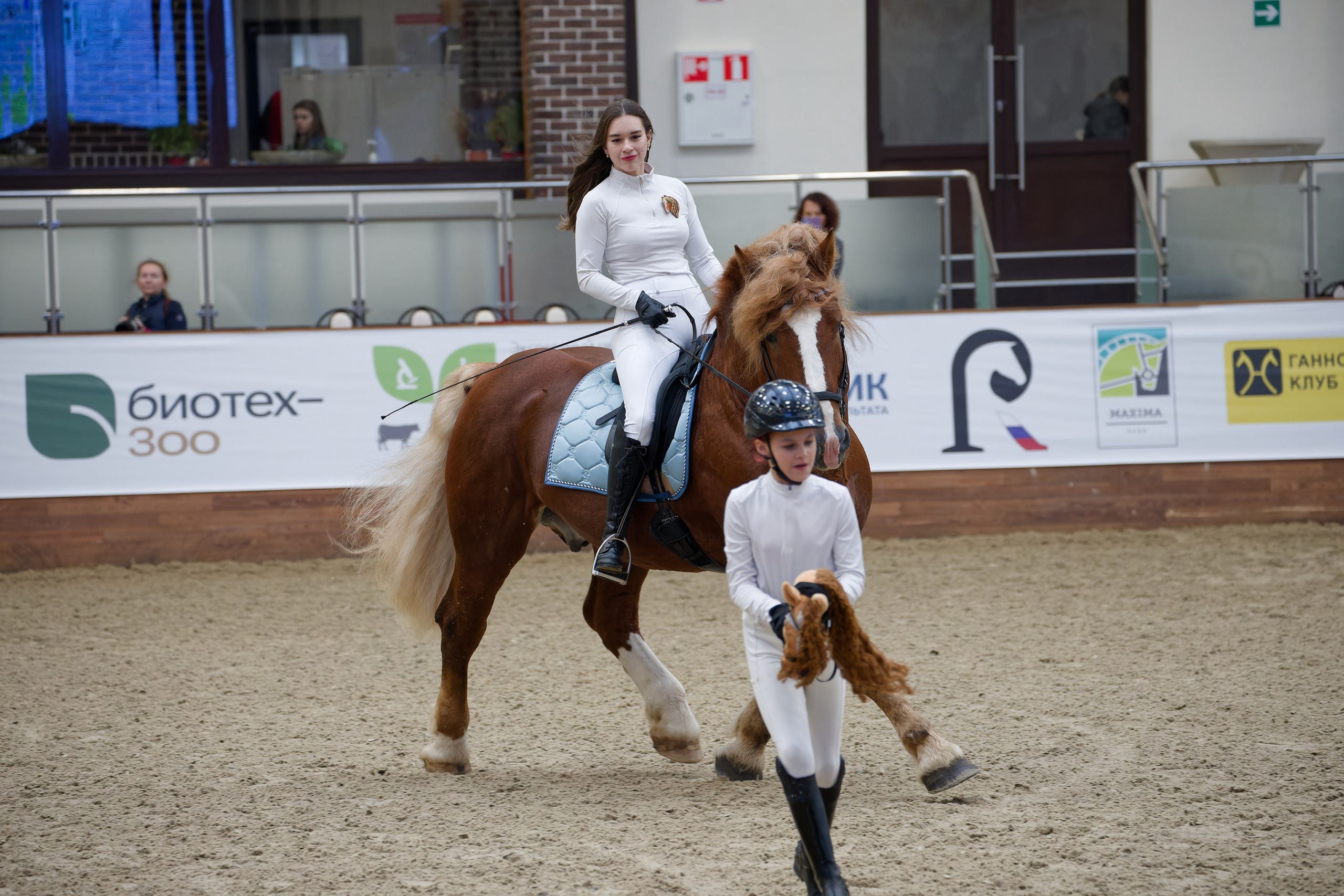 Конная Россия 2024. Irenephoto.ru