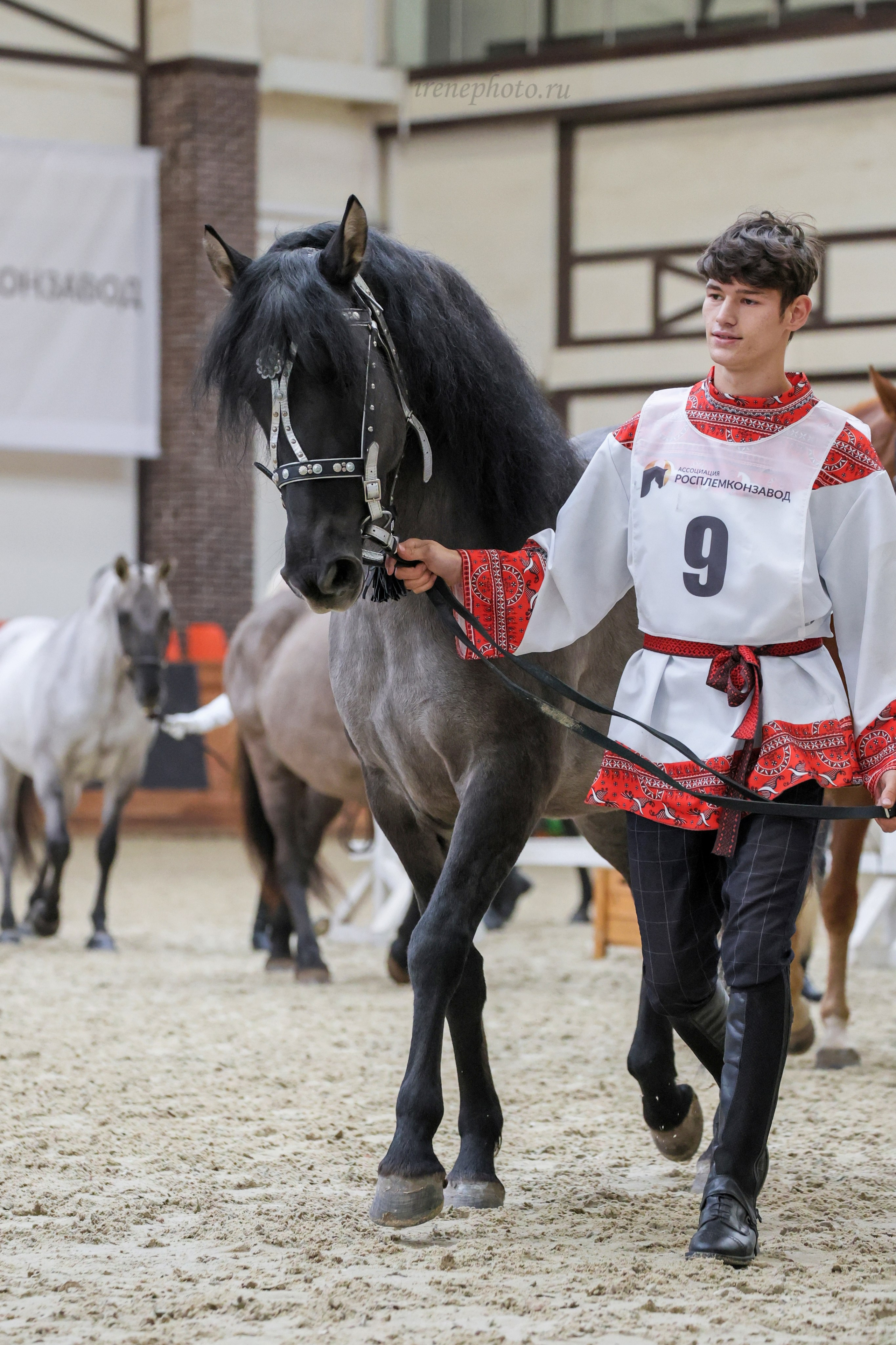 Конная Россия 2024. Irenephoto.ru
