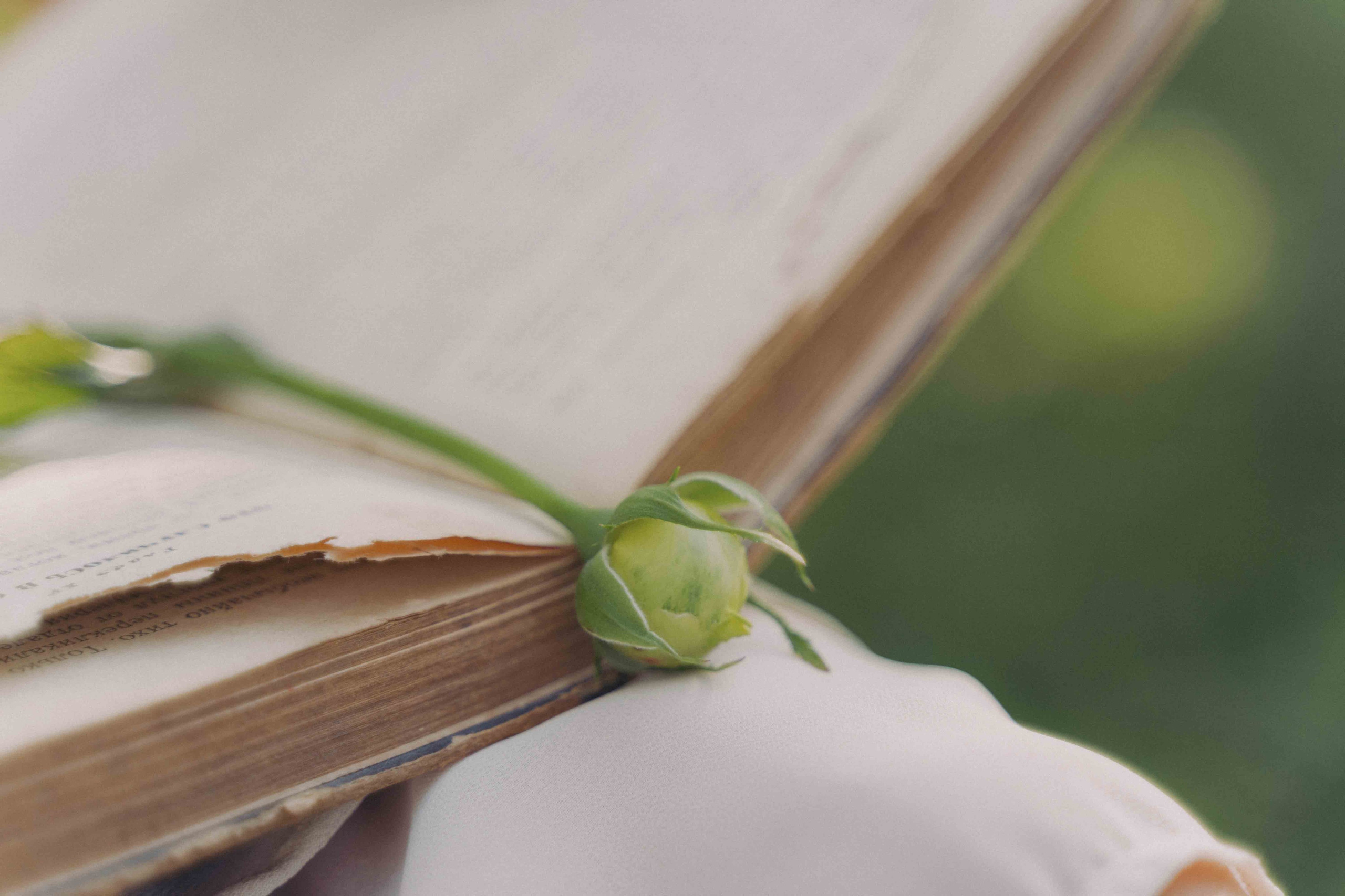 Яблоневый сад и гамак. Фотограф и видеограф в Москве и Абу Даби Мария Кулагина