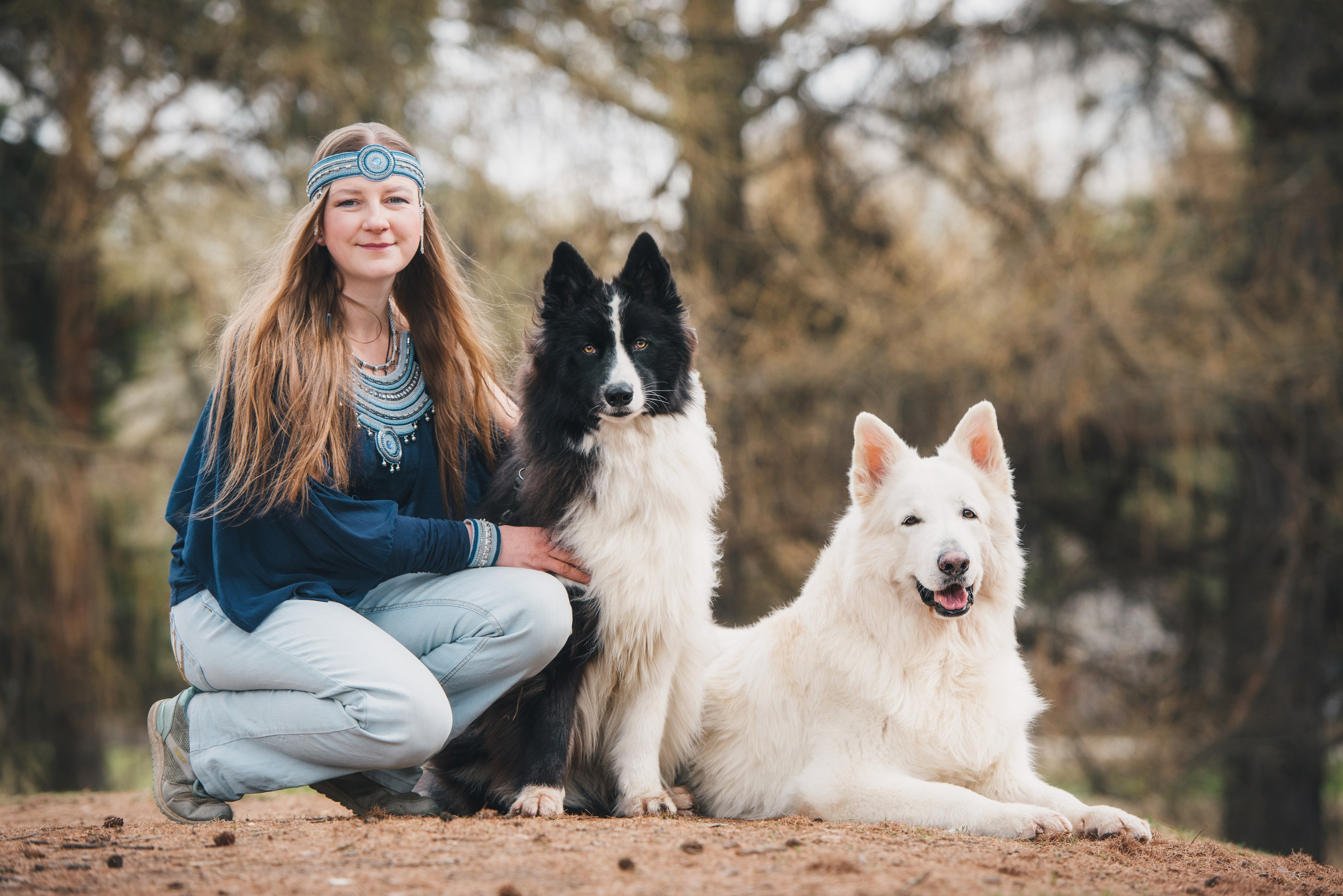 якутская лайка и белая швейцарская овчарка