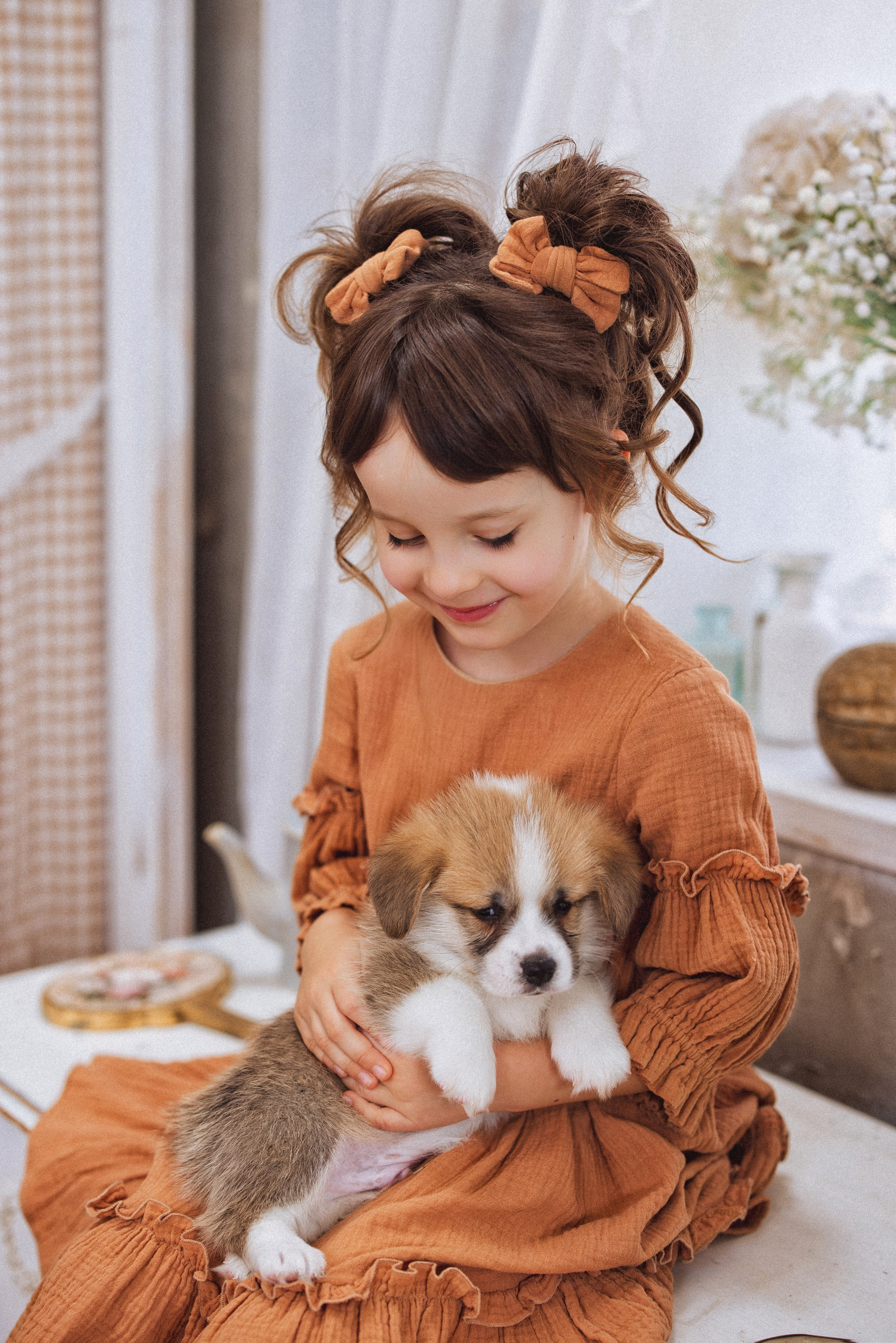 Фотосессия с щенками Корги, в фотостудии Ольги Сурухановой, город Краснодар. Семейный и детский фотограф в Краснодаре Анна Трашкова