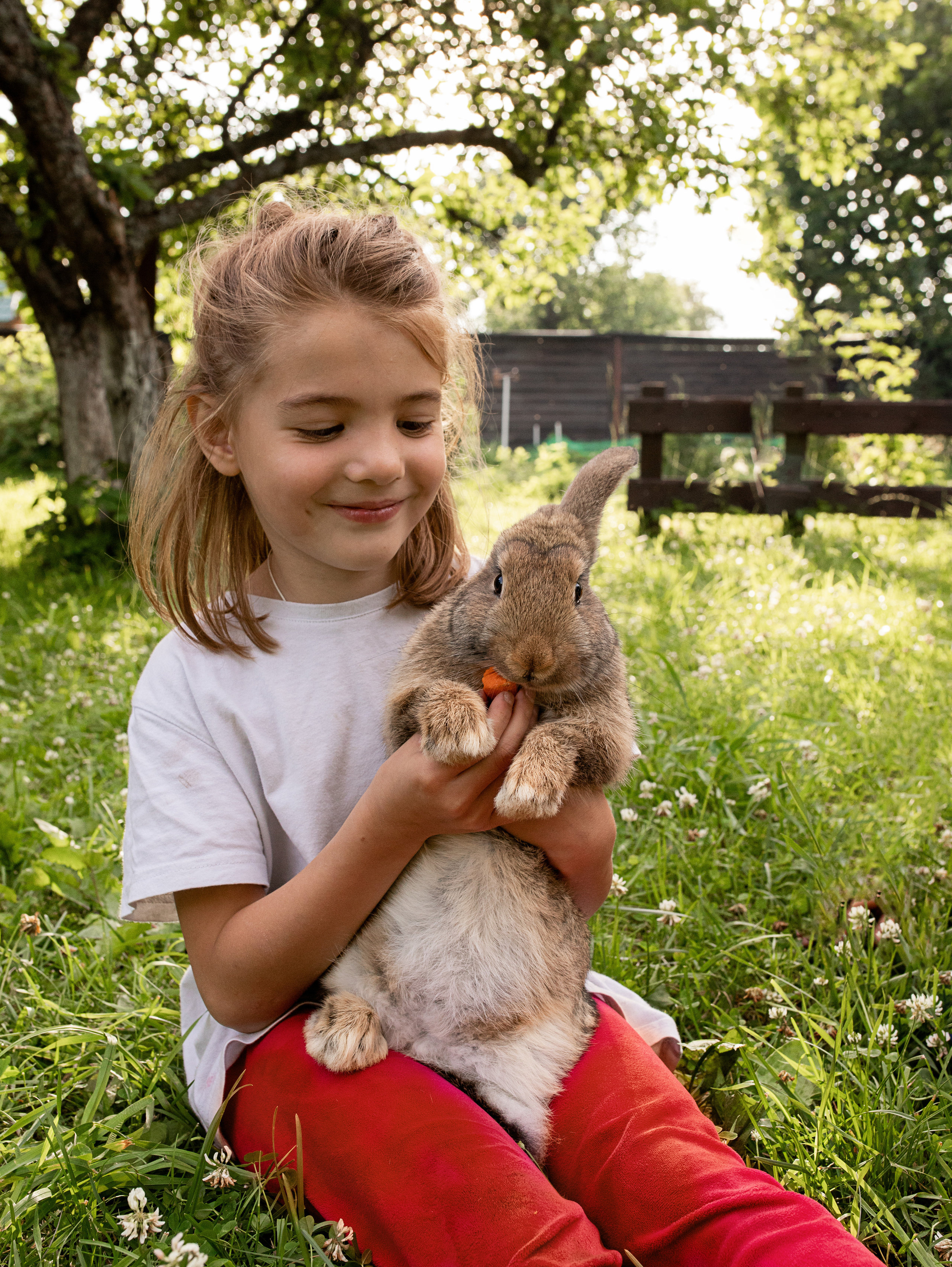 Кролики. Семейный фотограф в Санкт-Петербурге Ирина Иванова