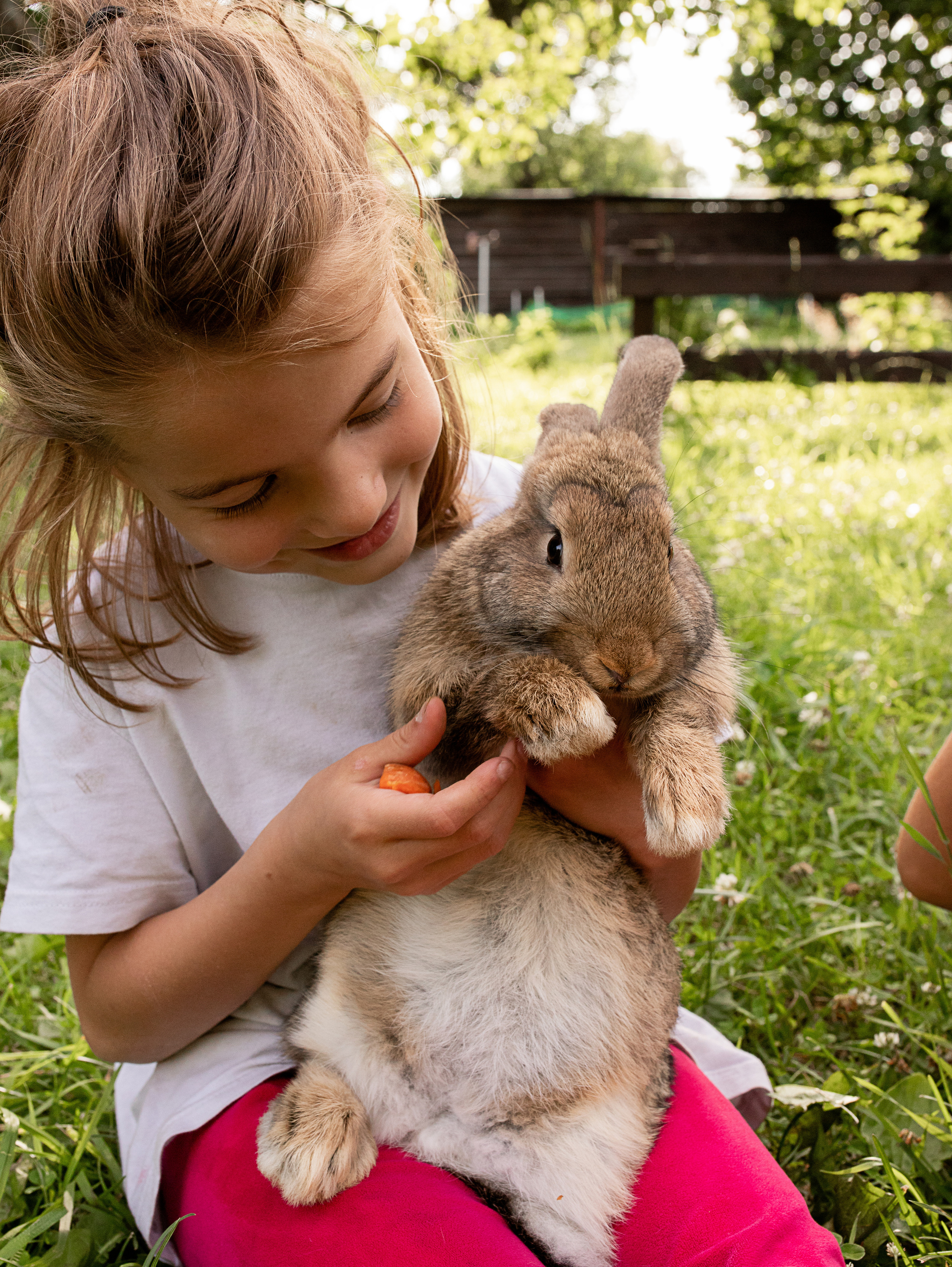 Кролики. Семейный фотограф в Санкт-Петербурге Ирина Иванова