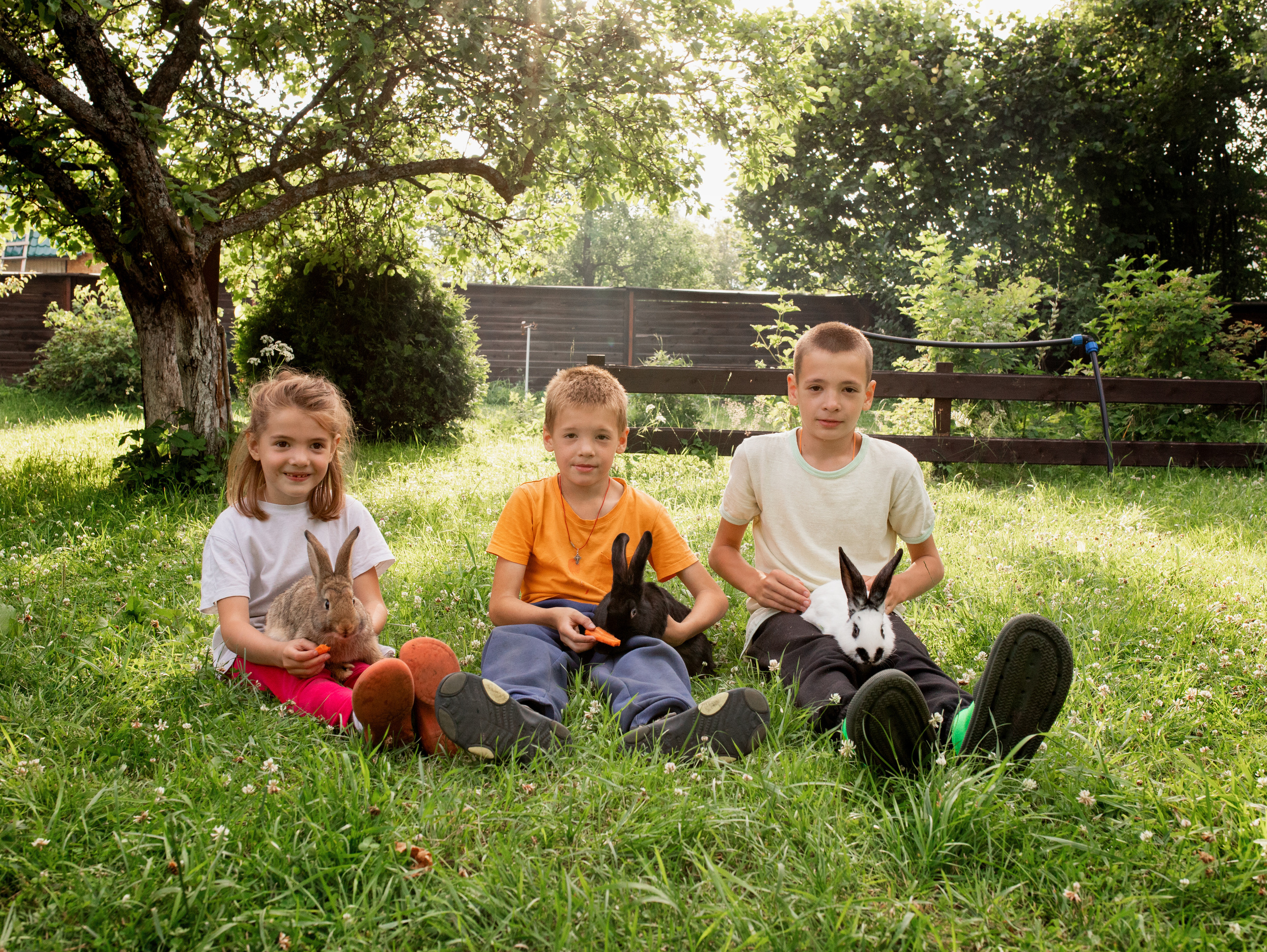 Кролики. Семейный фотограф в Санкт-Петербурге Ирина Иванова