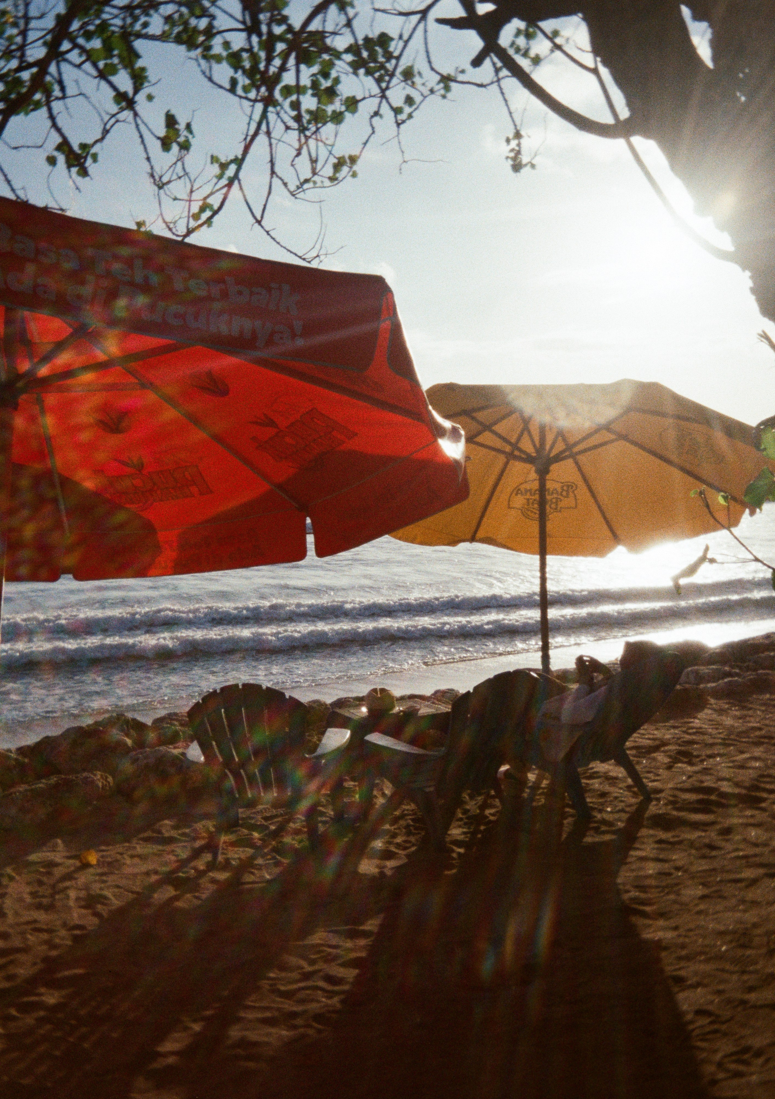 Виолетта Скрипка