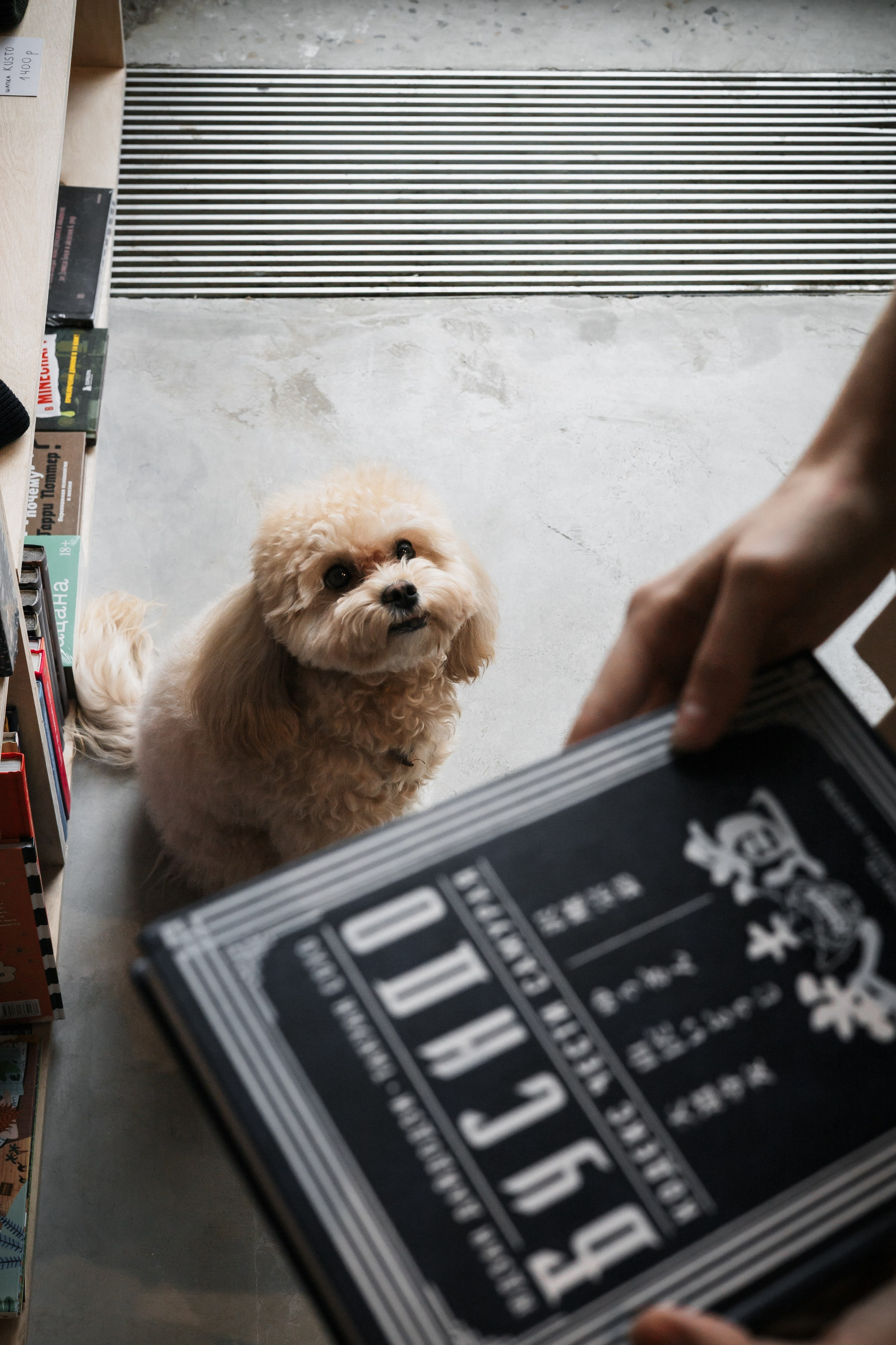 Алина — прогулка