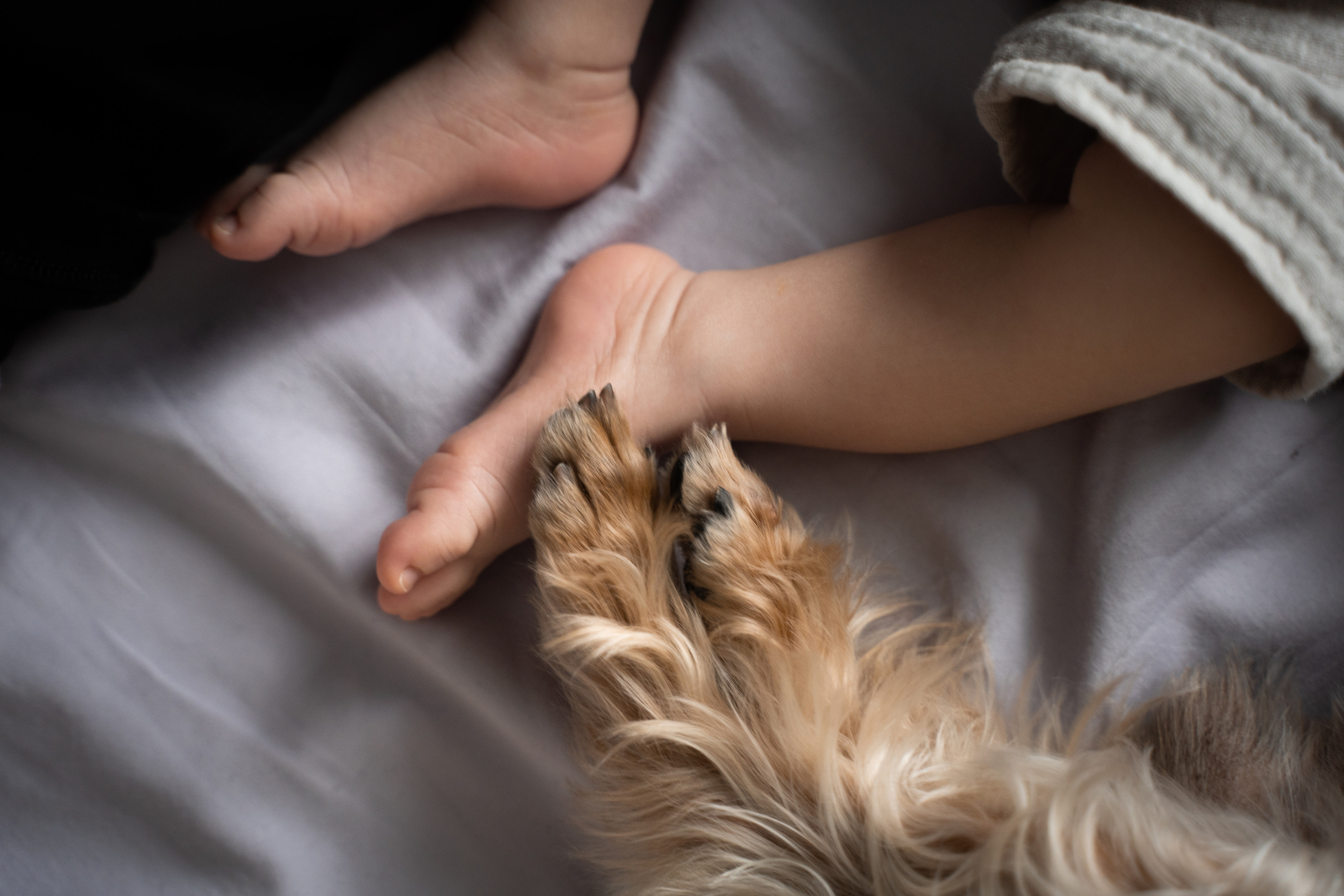 Матвей. Фотограф на роды Москва Ольга Летучева