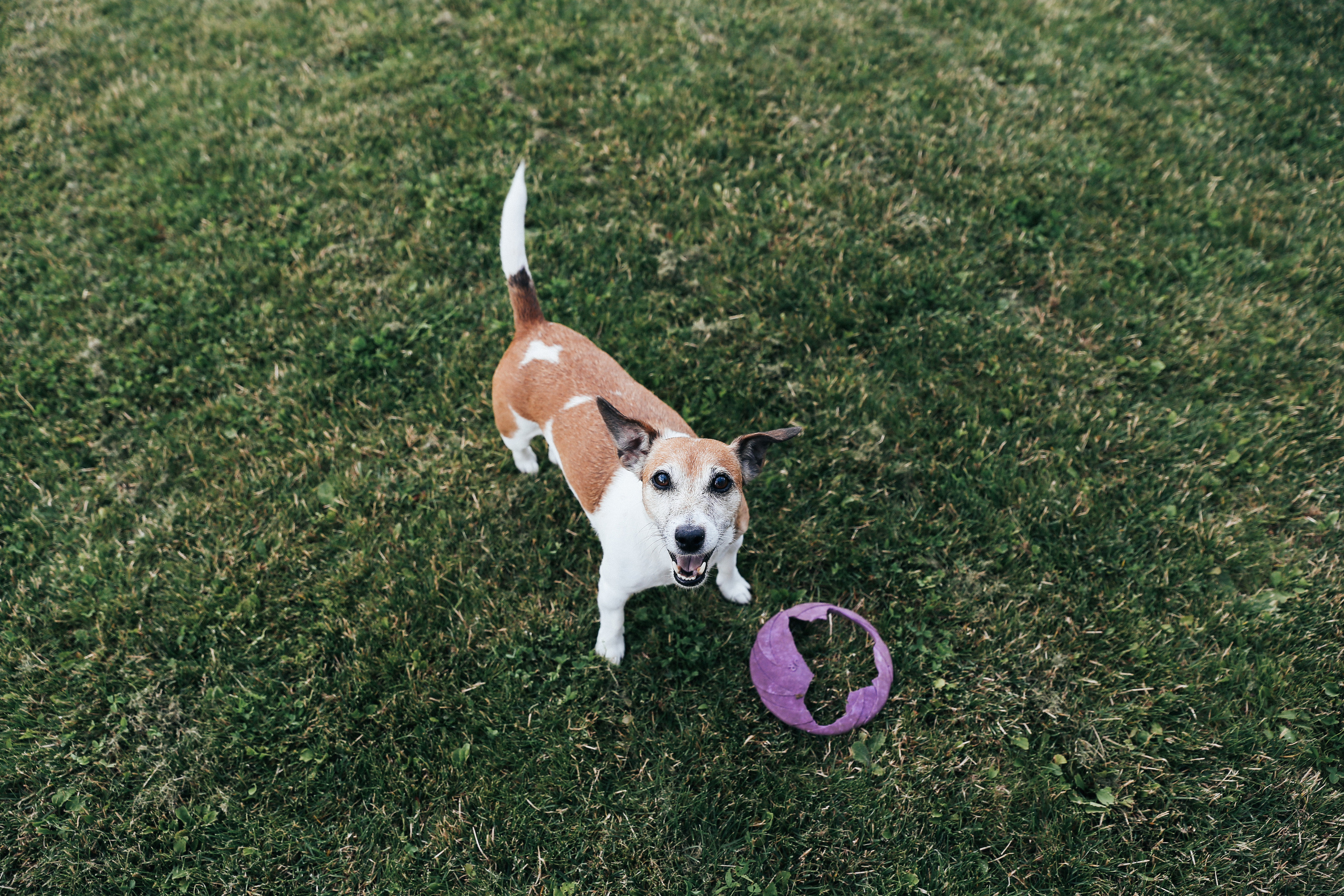 4 года. Свадебный фотограф Домодедово Москва Катерина Алехина