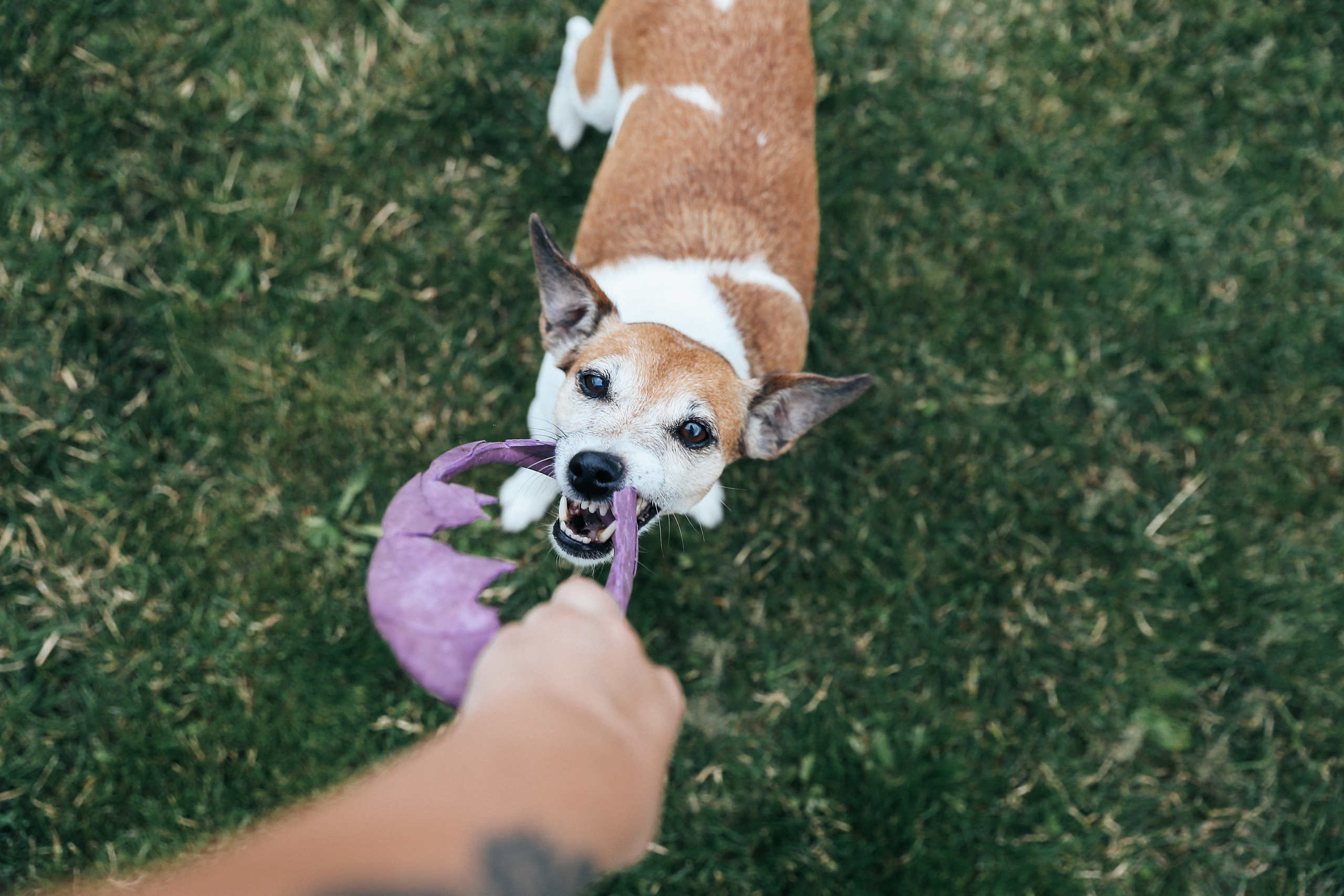 4 года. Свадебный фотограф Домодедово Москва Катерина Алехина