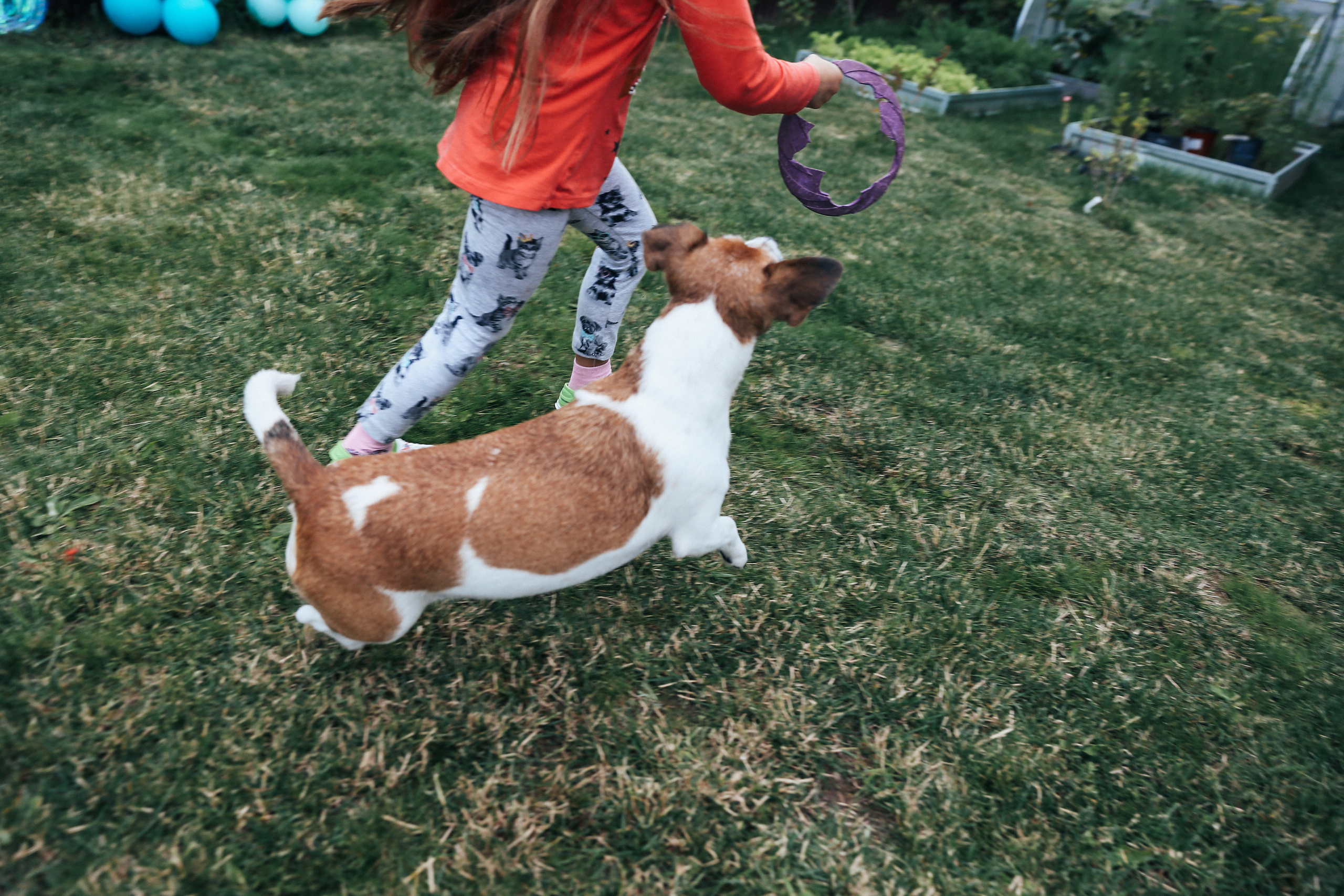 4 года. Свадебный фотограф Домодедово Москва Катерина Алехина