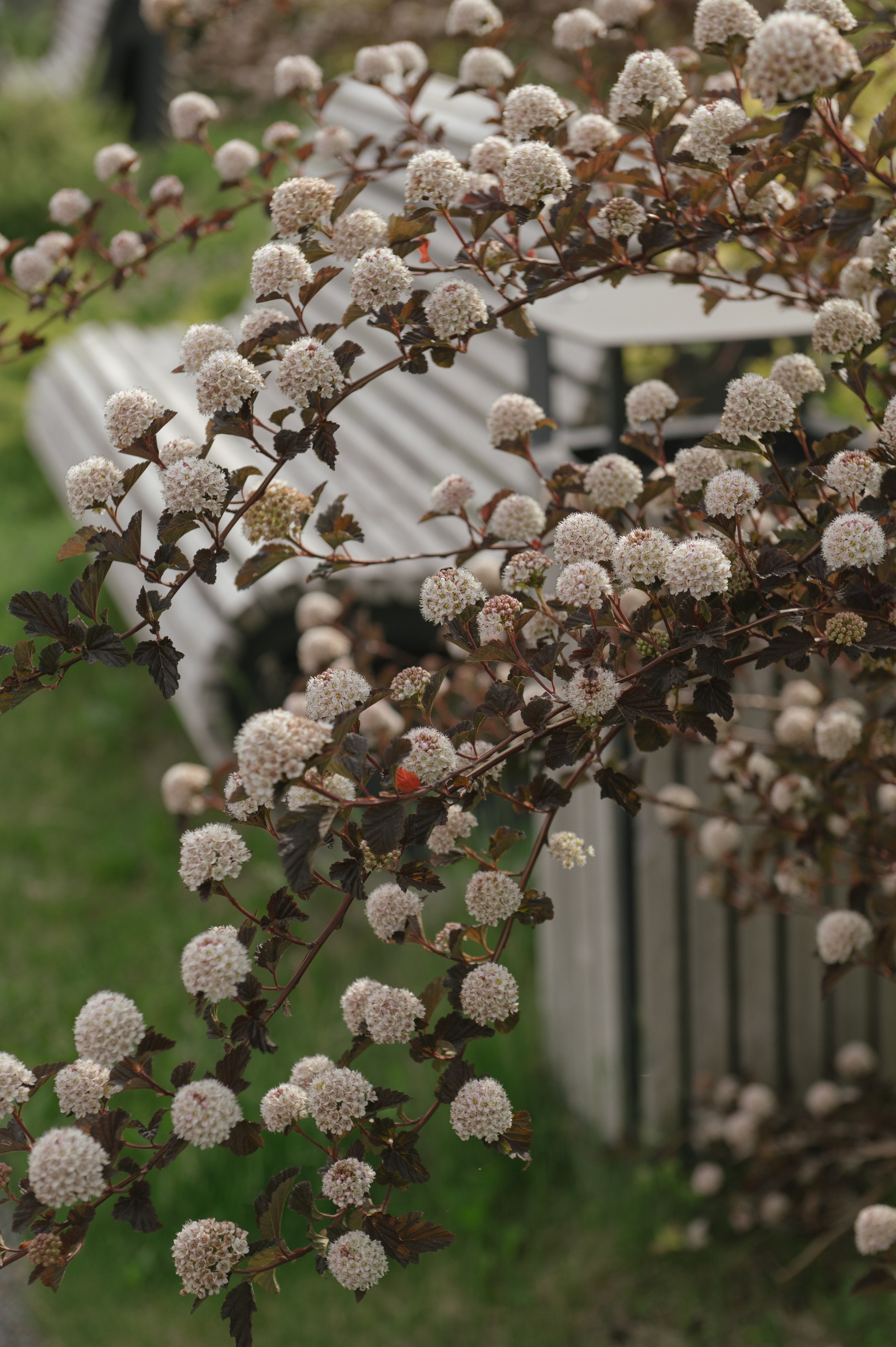 Каждому своё, а мне — тебя. Светлана Варфоломеева, женский и свадебный фотограф в Саратове
