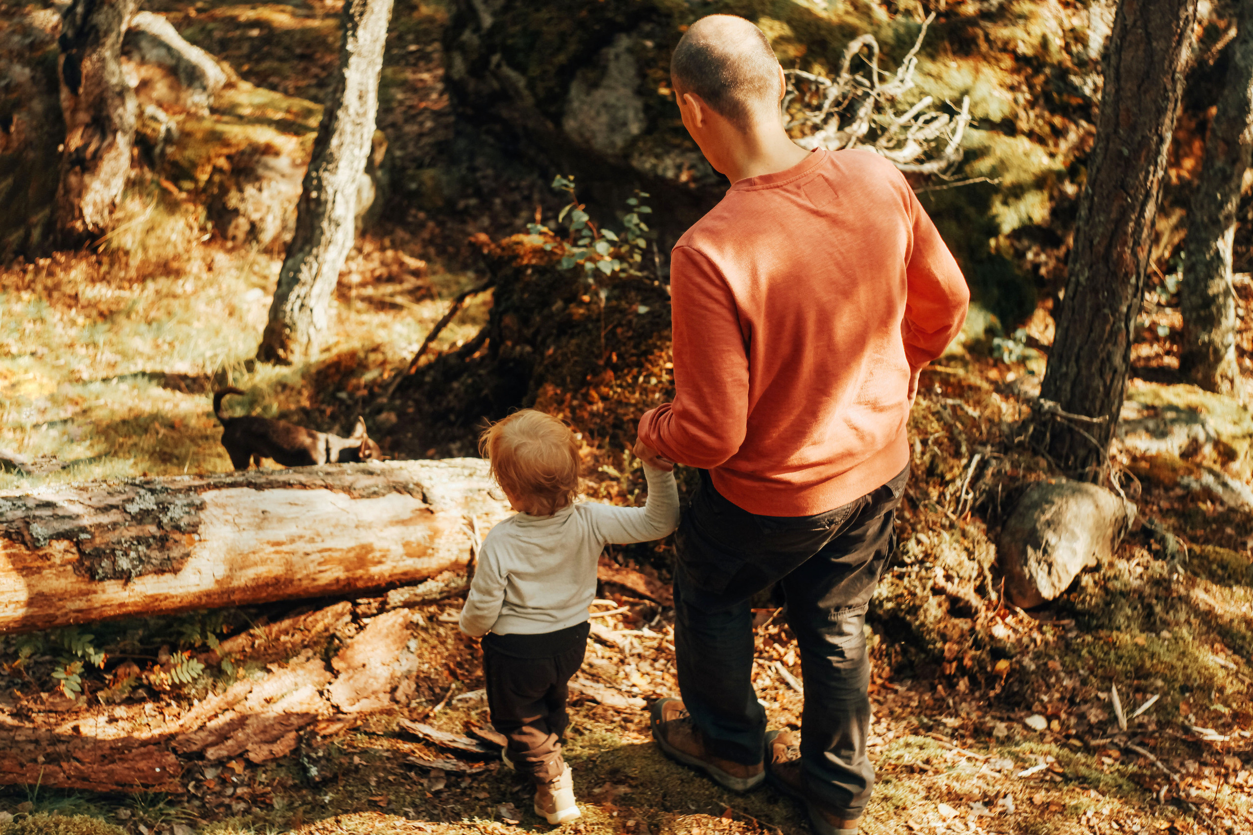 Живые семейные фотосессии в СПб. Портретный фотограф в Санкт-Петербурге Любовь Волошина