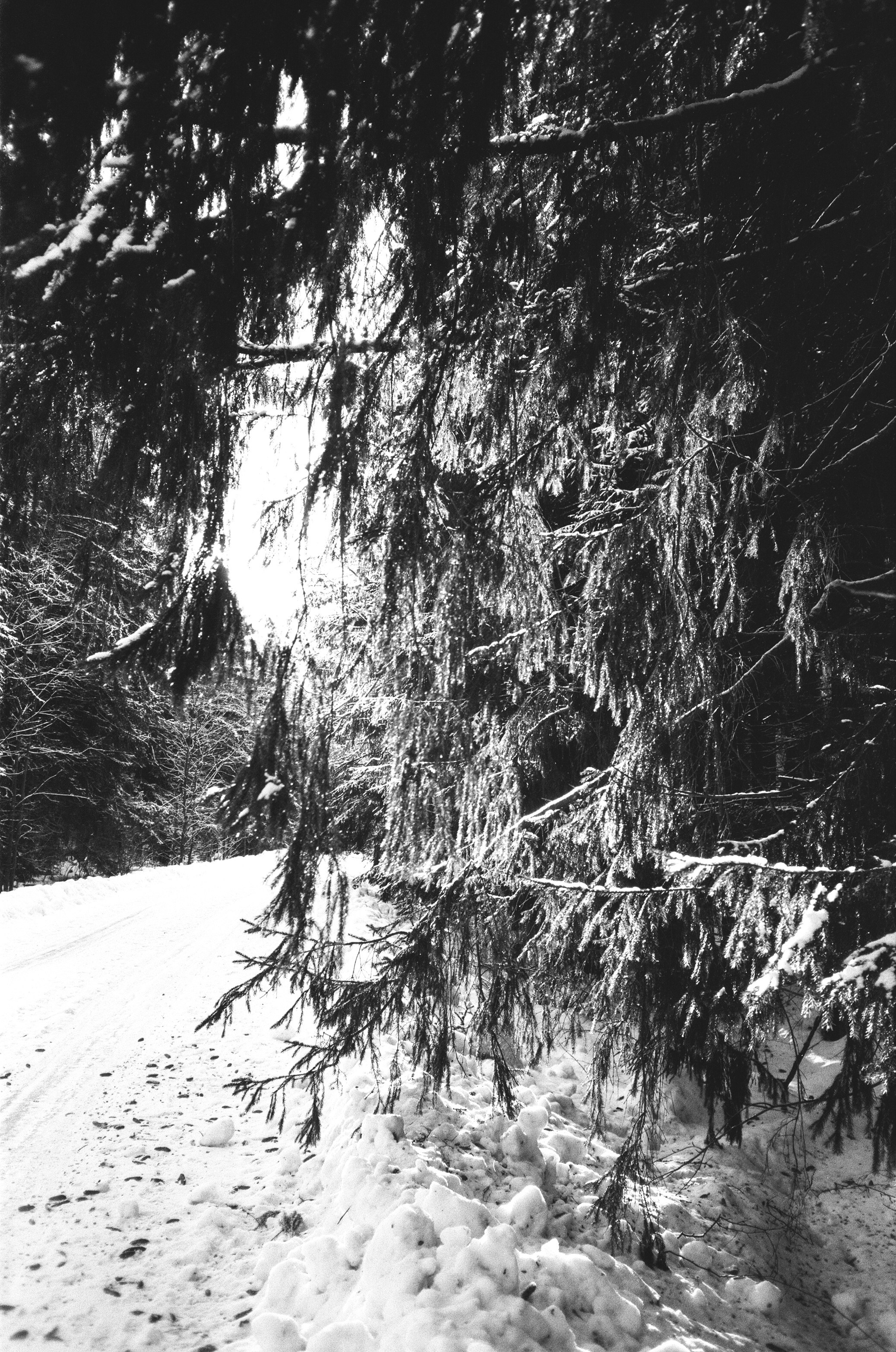 Nikon Action Touch (L35AW) / SFL T-25 / Давыдовское