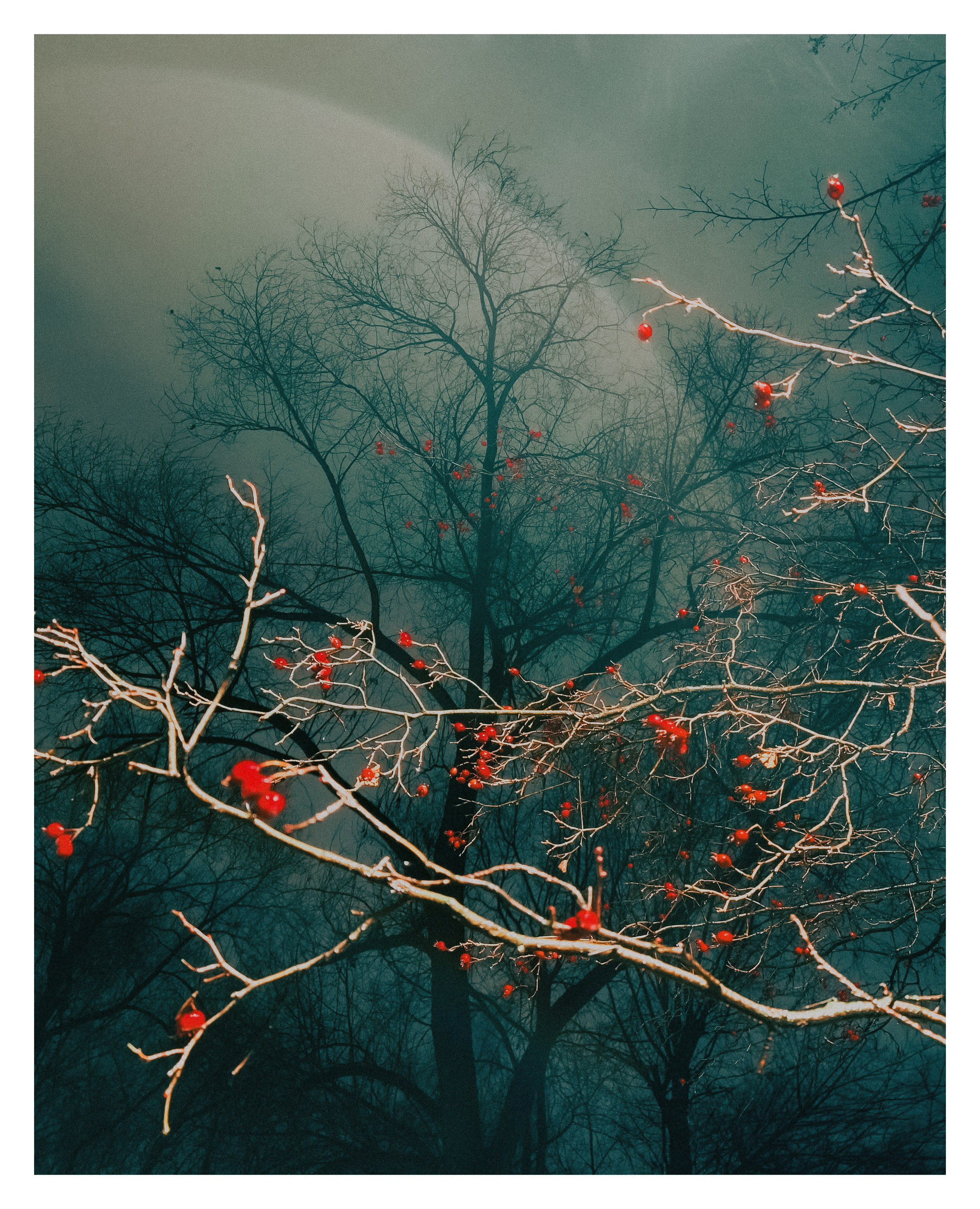 Мир повседневных Вещей. Репортажный и портретный фотограф, Влад Хафизов, Москва