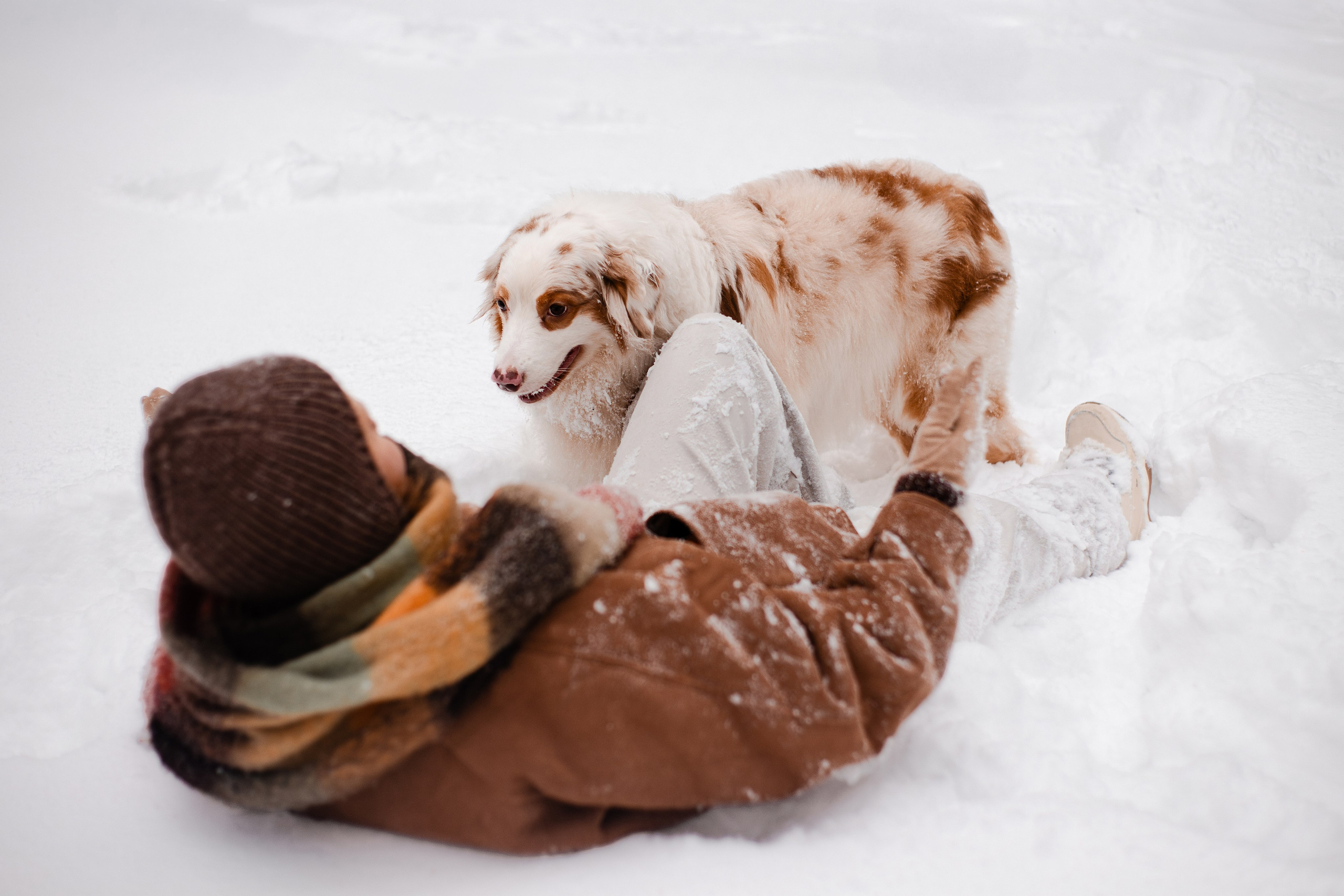 Юля и Ума. Фотограф-анималист Мария Баркевич | Москва