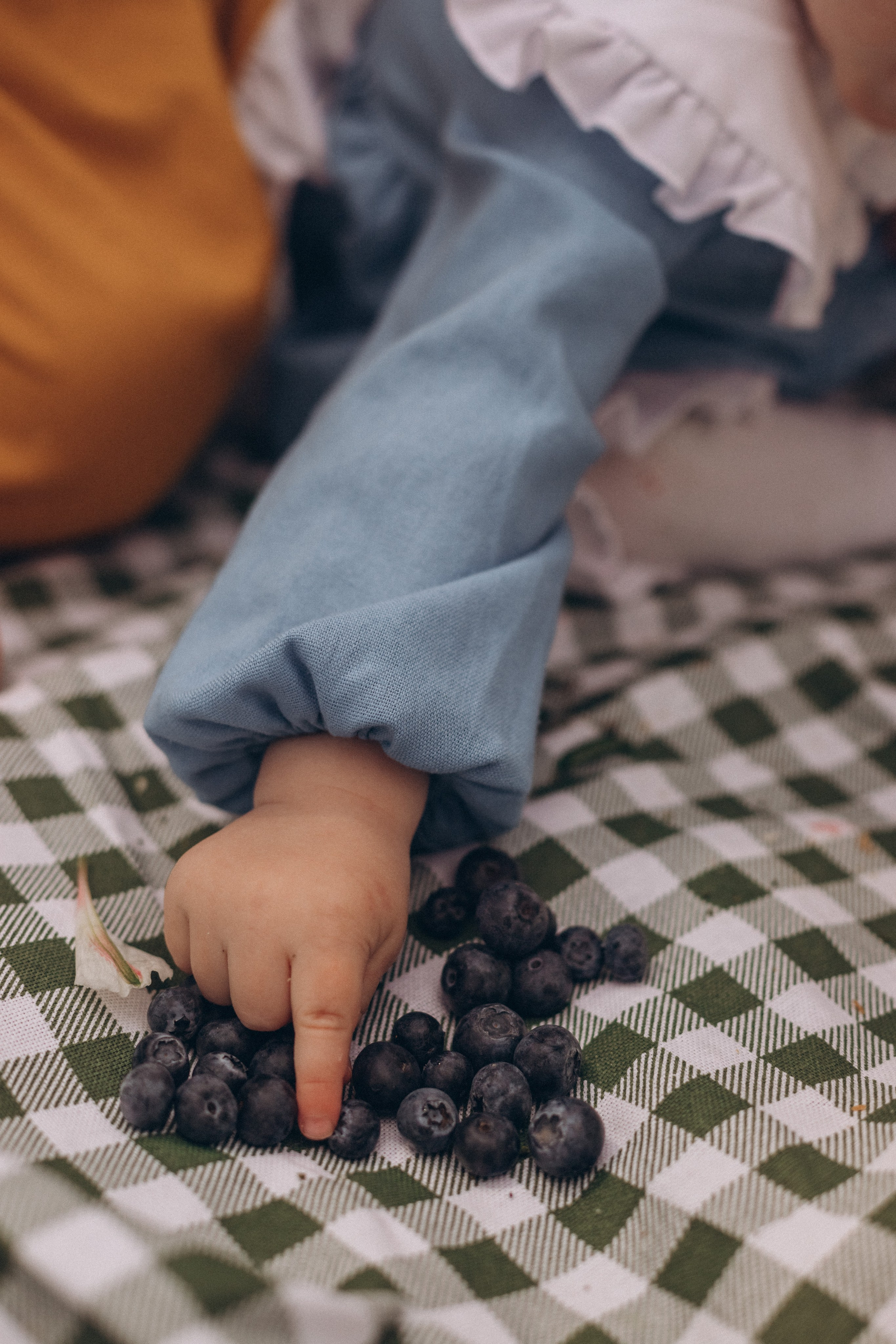 Пикник в парке. Детский и семейный фотограф в Москве Светлана Шабалина