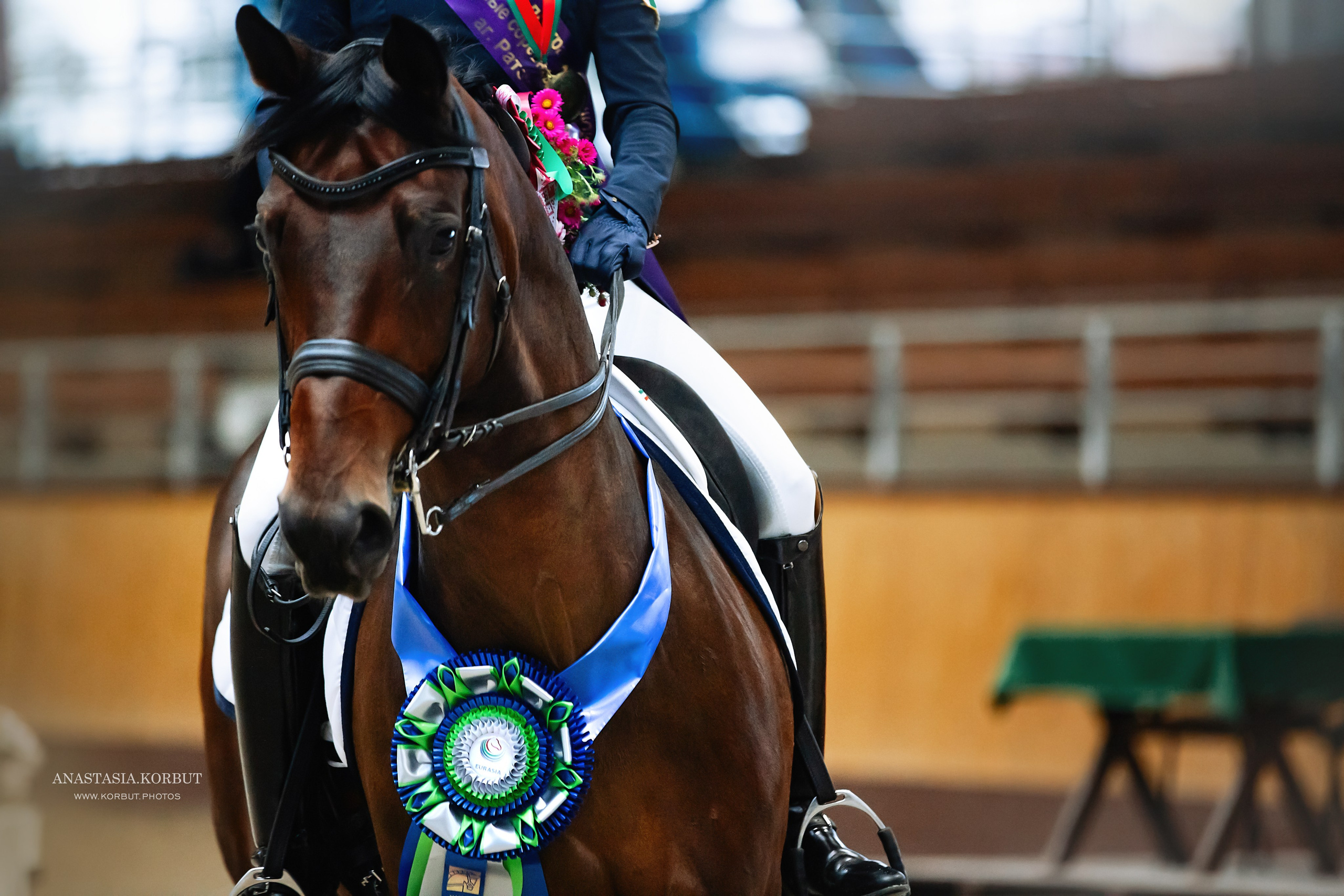 Звезды Евразии MAXIMA MASTERS. Арт фотограф в Минске Анастасия Корбут