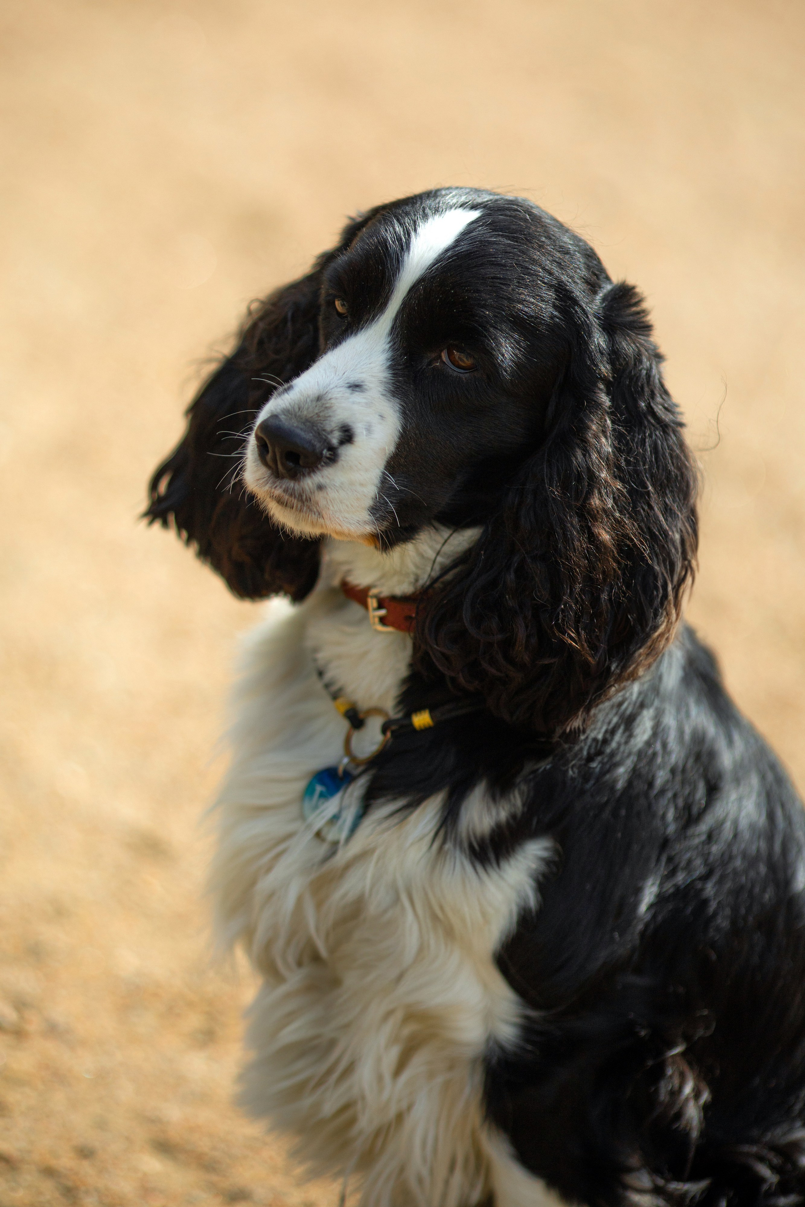Таша. Художник и Фотограф Тимохина Юлия