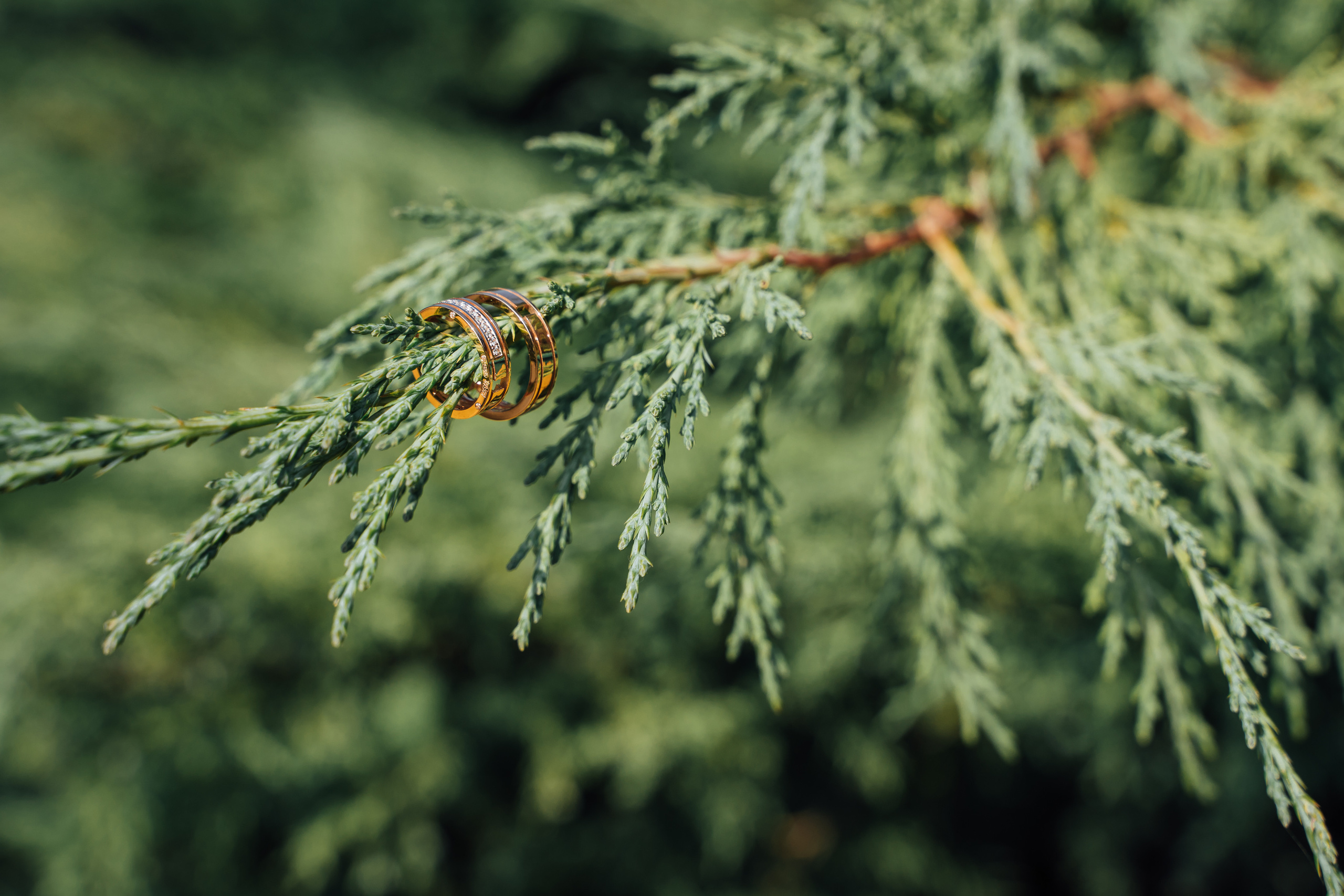 Свадебная фотосессия в Воскресенске: Василий и Валерия. Свадебный фотограф в Коломне, Воскресенске, Егорьевске Владимир Петров
