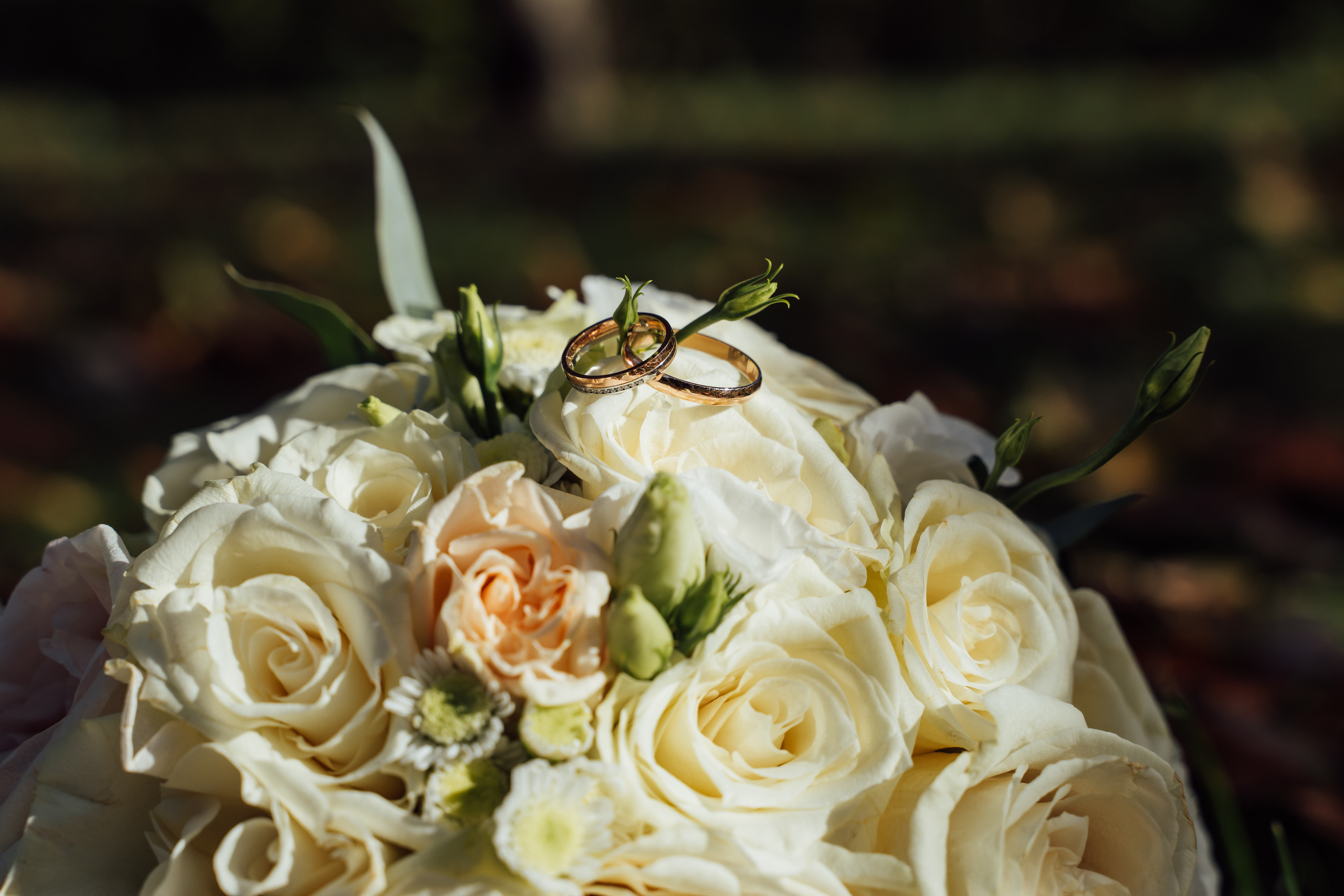 Свадебные фото в Коломне: Даниил и Ирина. Свадебный фотограф в Коломне, Воскресенске, Егорьевске Владимир Петров