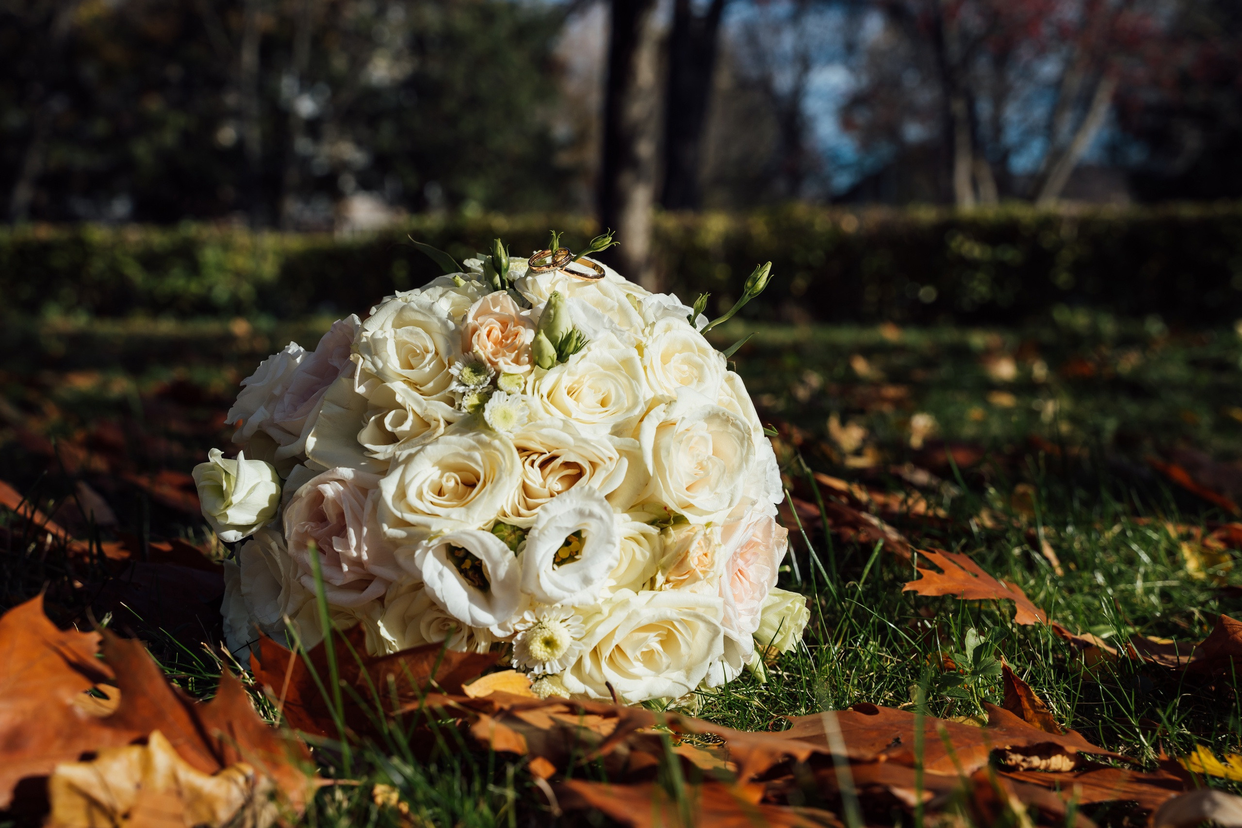 Свадебные фото в Коломне: Даниил и Ирина. Свадебный фотограф в Коломне, Воскресенске, Егорьевске Владимир Петров