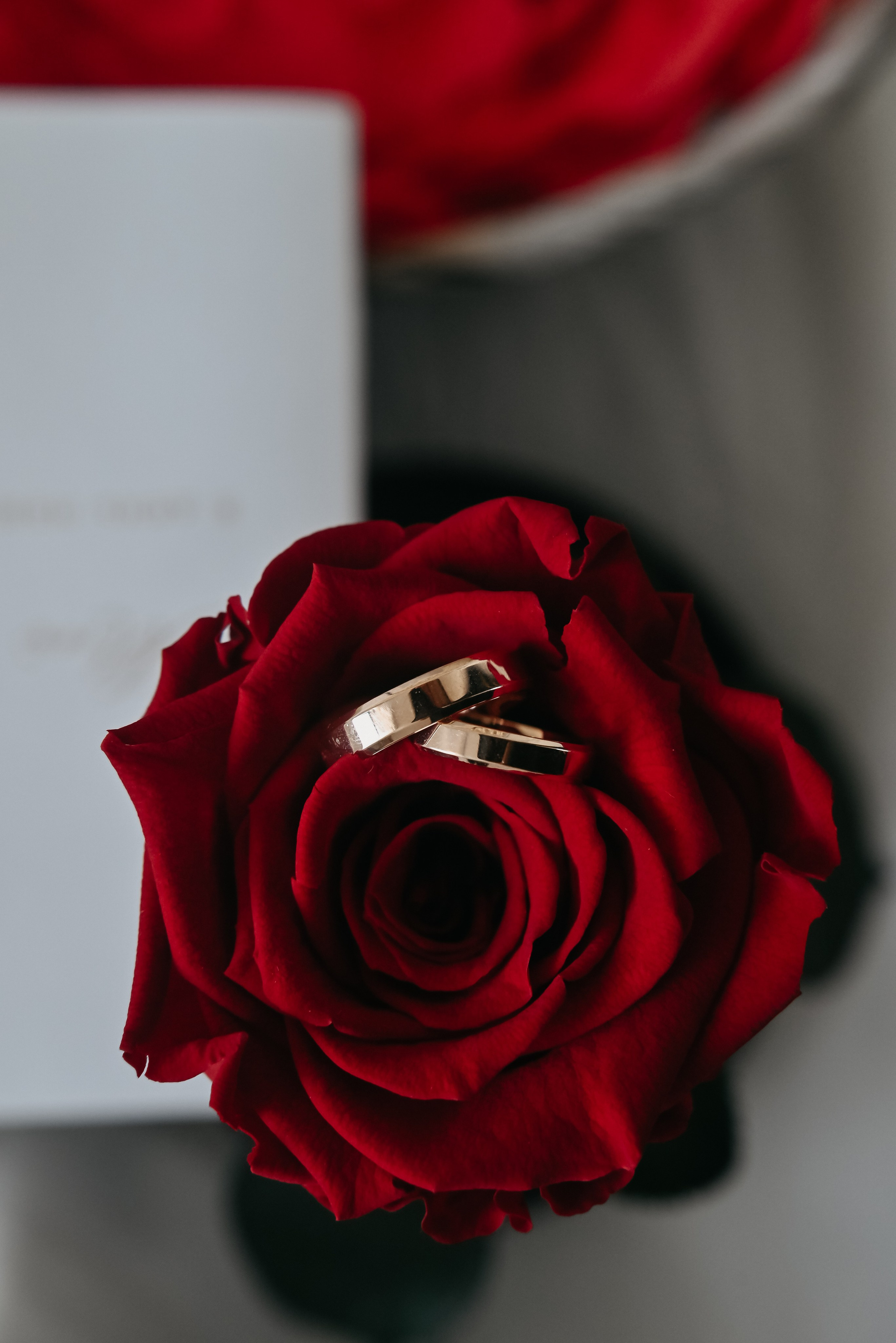 Кирилл Карина. Ваш фотограф