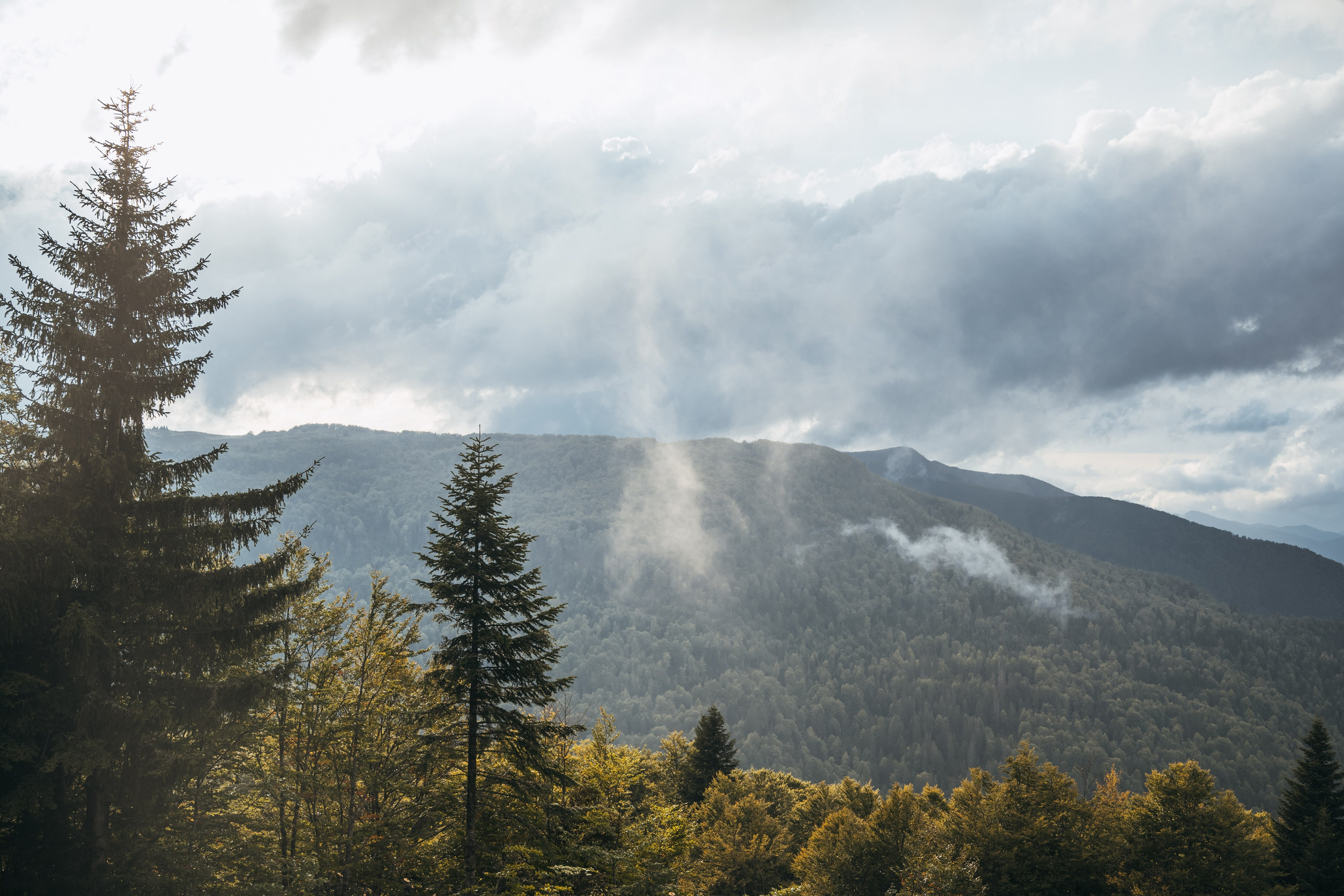 ГОРЫ КОМОВИ. ЧЕРНОГОРИЯ. Фотограф в Белграде Чугреева Елена