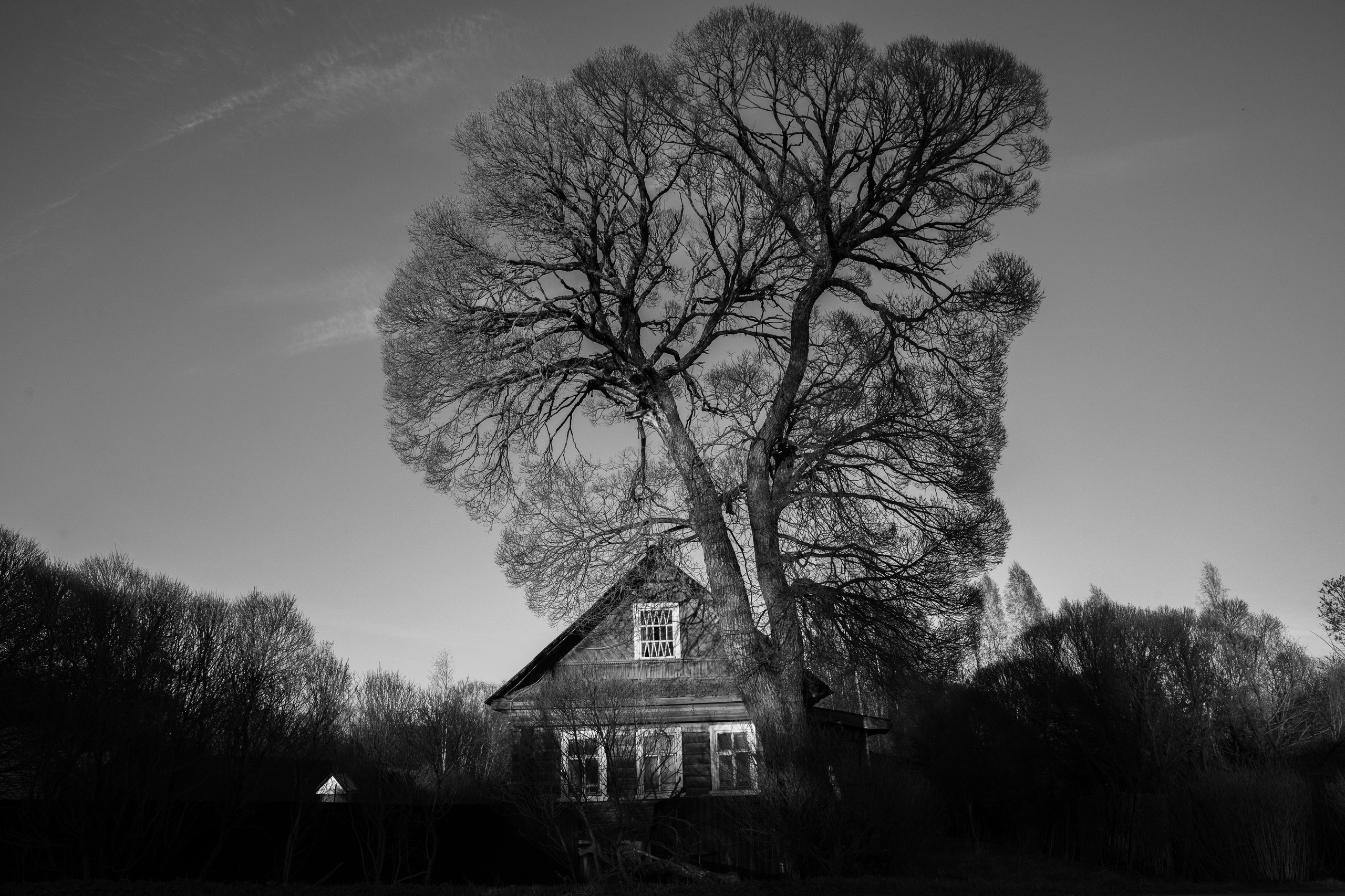 Хранитель лесов. Портретная фотосъёмка, репортажная, контент для вашего бизнеса