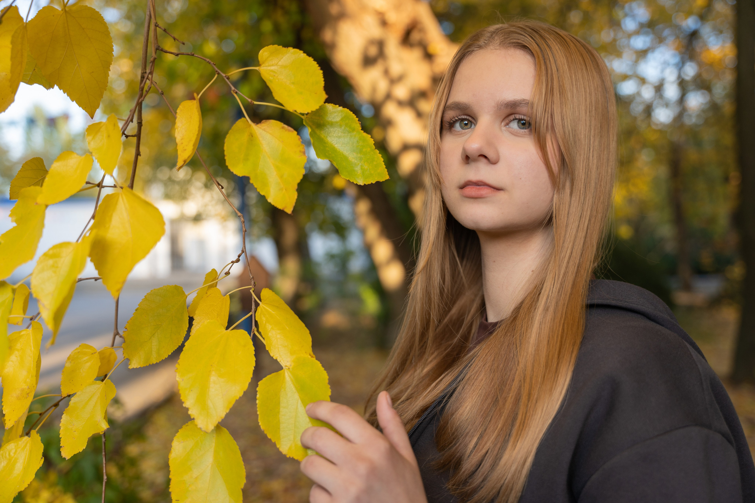 Золотая дружба в осенних красках. Фотограф |Ленинск, Волжский, Волгоград| Наталья Савилова