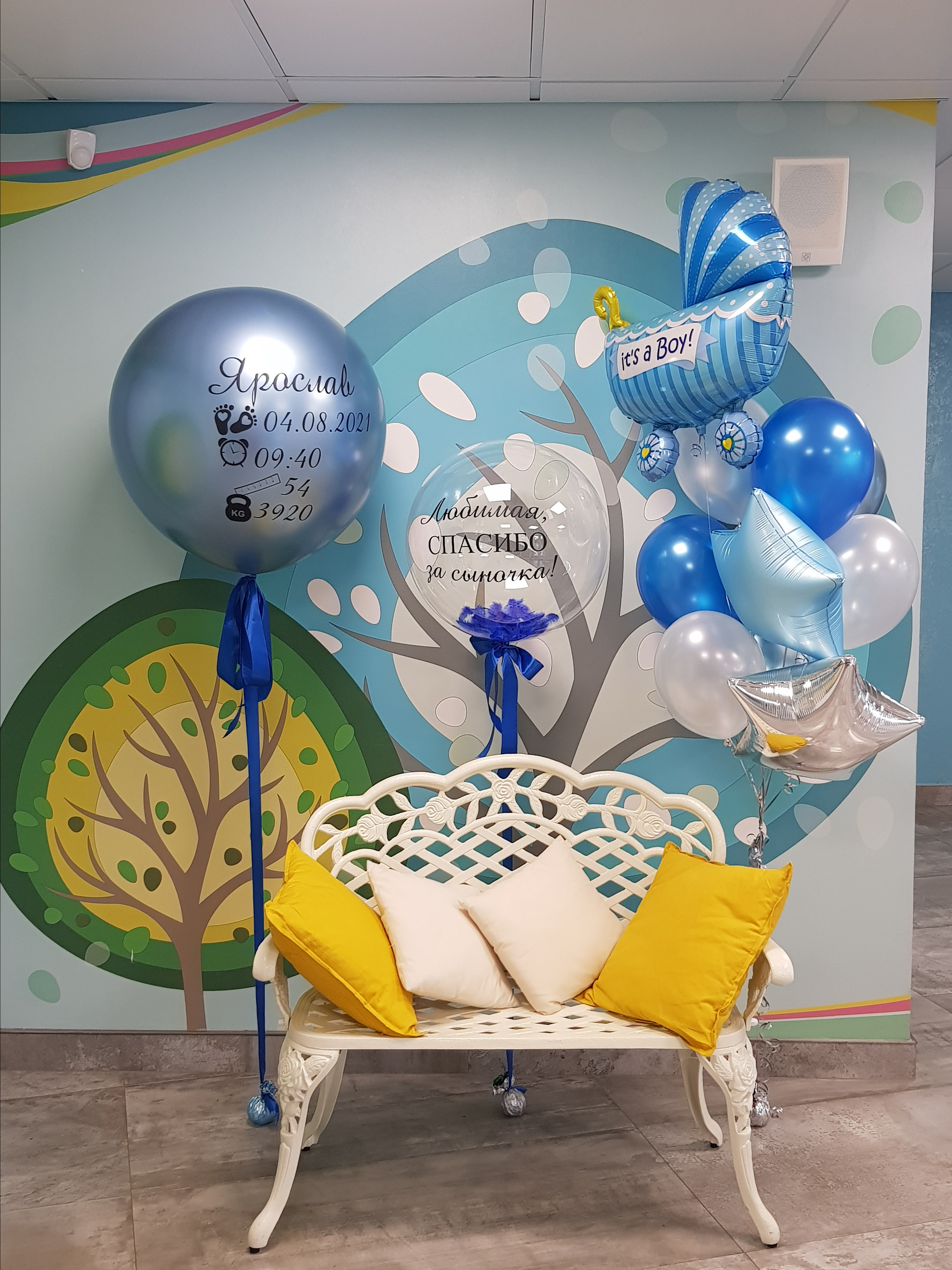 Фотограф в роддоме Сестрорецком г. Санкт-Петербург Банасиковская Ксения