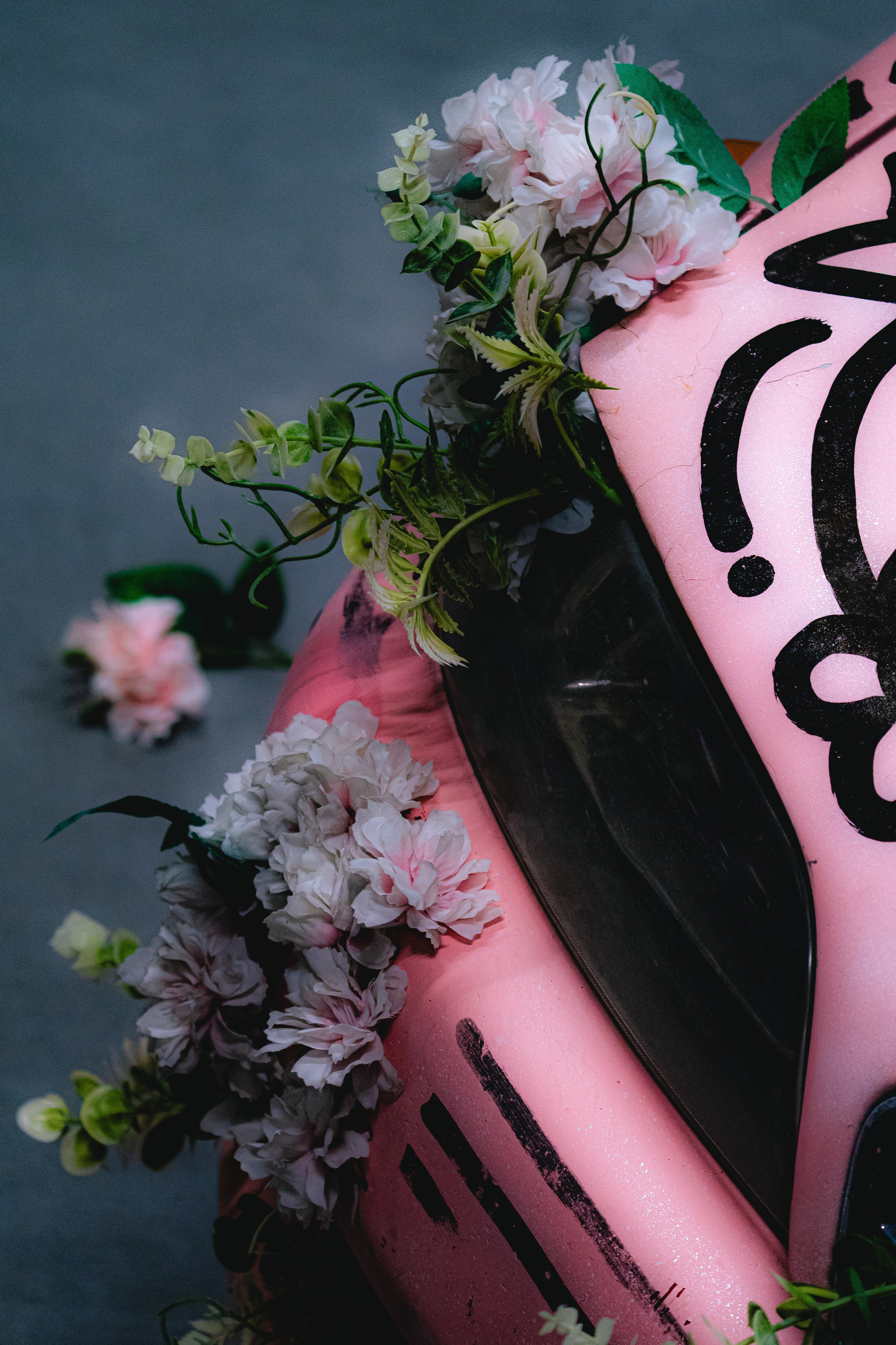 Портфолио Гончаренко Павел. Ма, я фотю📸