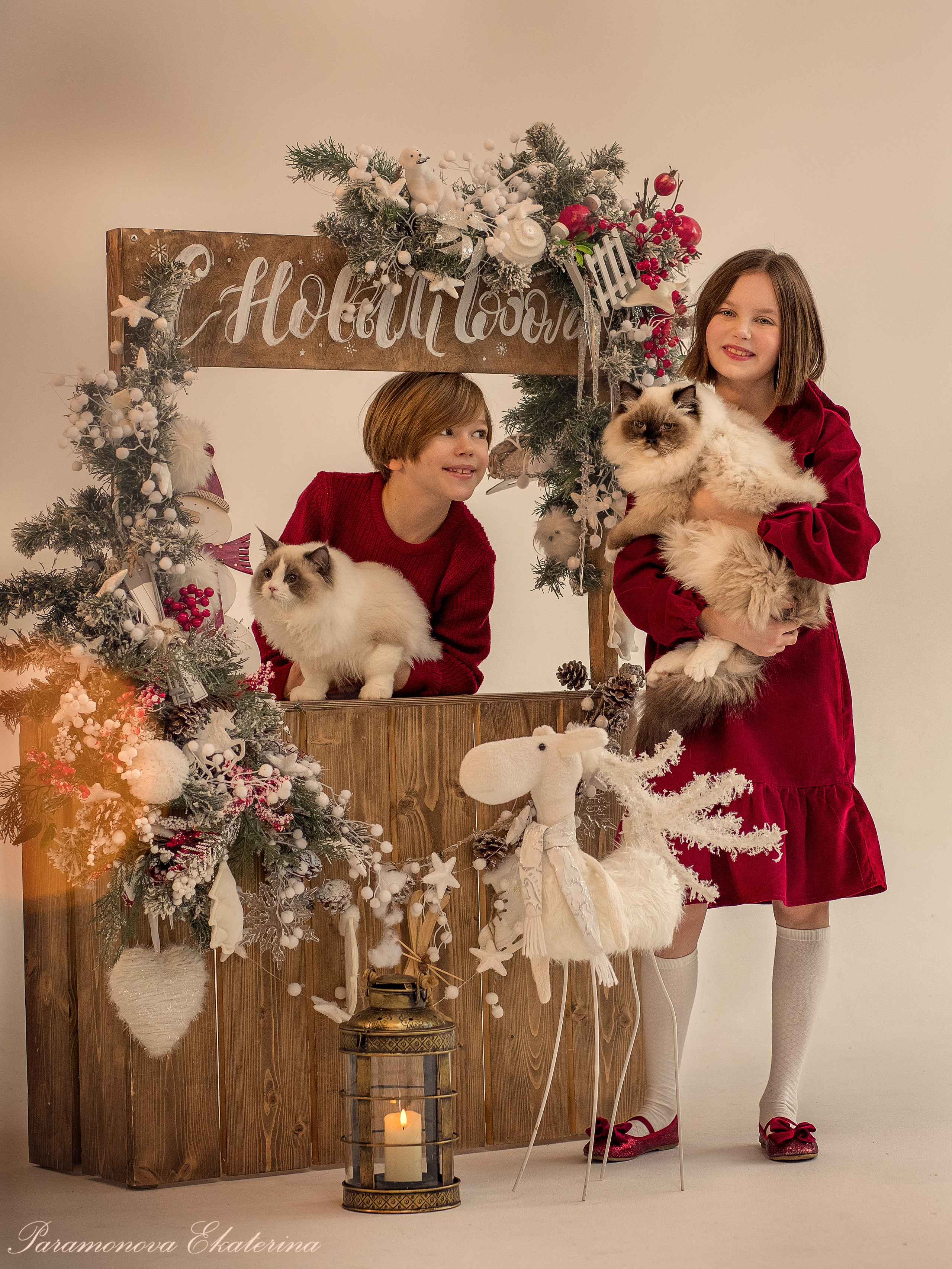 Новогодние котики. Семейный и детский фотограф В Москве Парамонова Екатерина