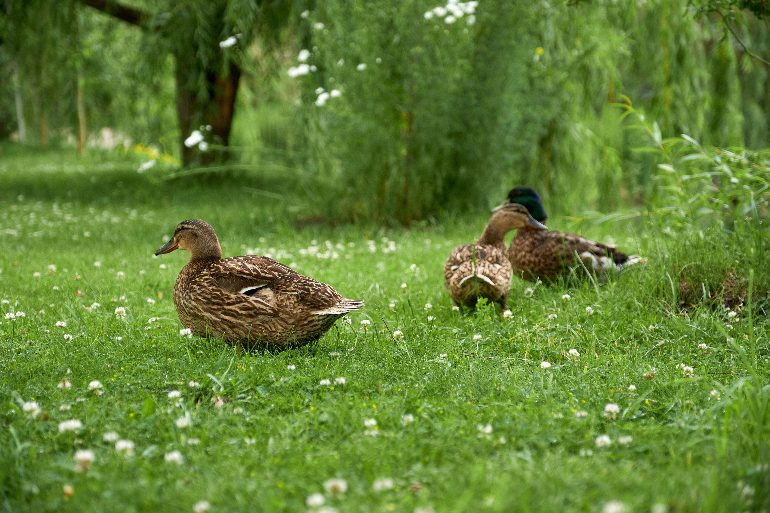 Vondom мебель презентация Самара — фотоотчёт дизайнерского события. Фотограф на мероприятие, свадьбу в Тольятти, Самара | Демотченко Андрей