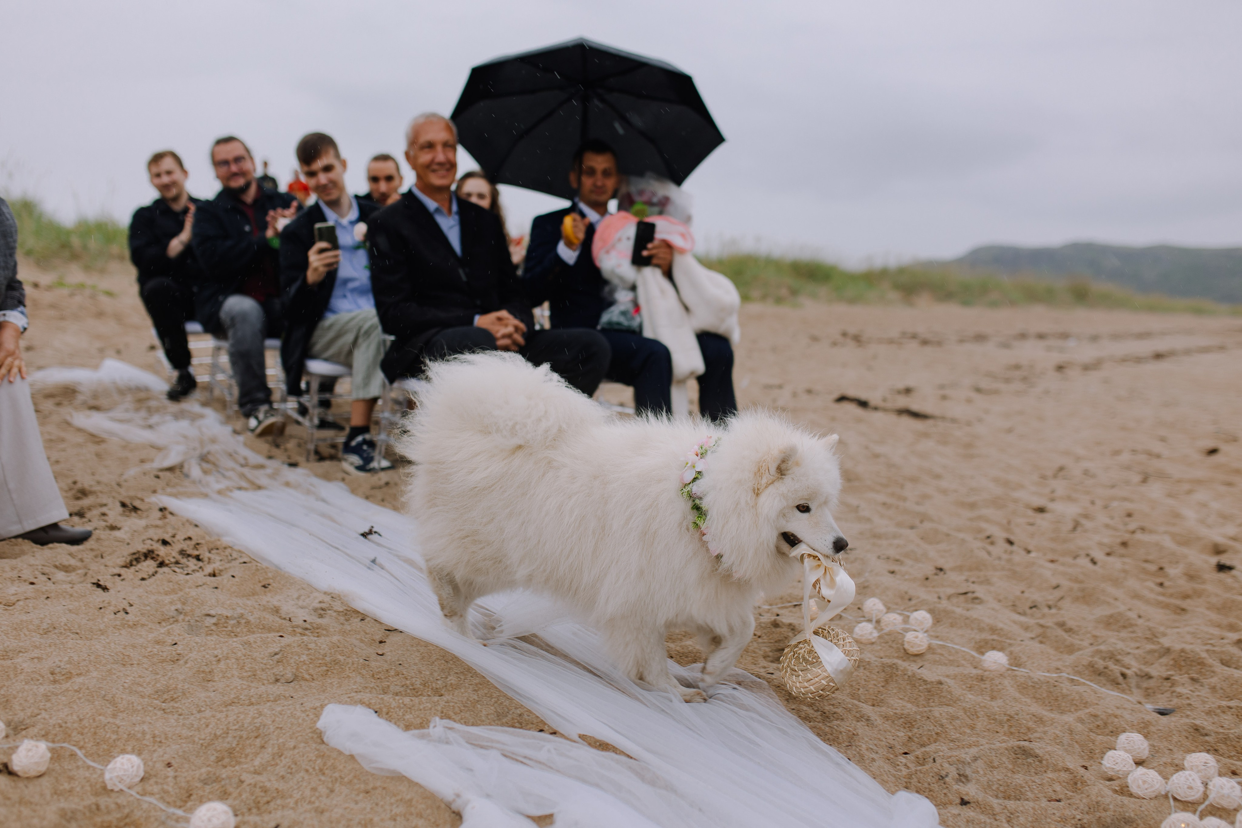 Свадьба в Териберке. Фотограф и видеограф в Мурманске, Москве Екатерина Нечаева