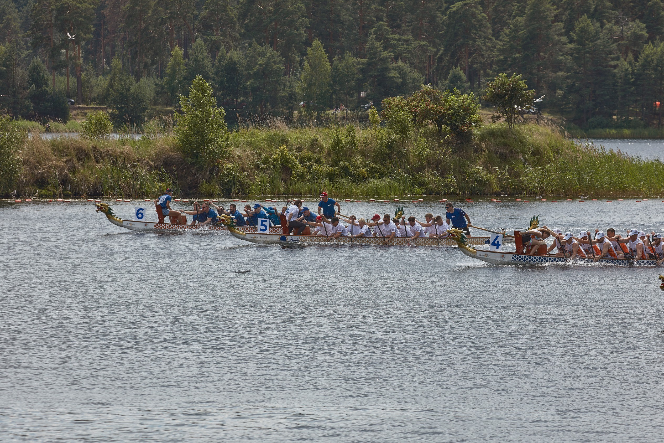 Кубок русского света и электриков по гребле на лодках класса «Дракон». Коммерческий фотограф в Москве Павел Володин — фотосъемка для бизнеса