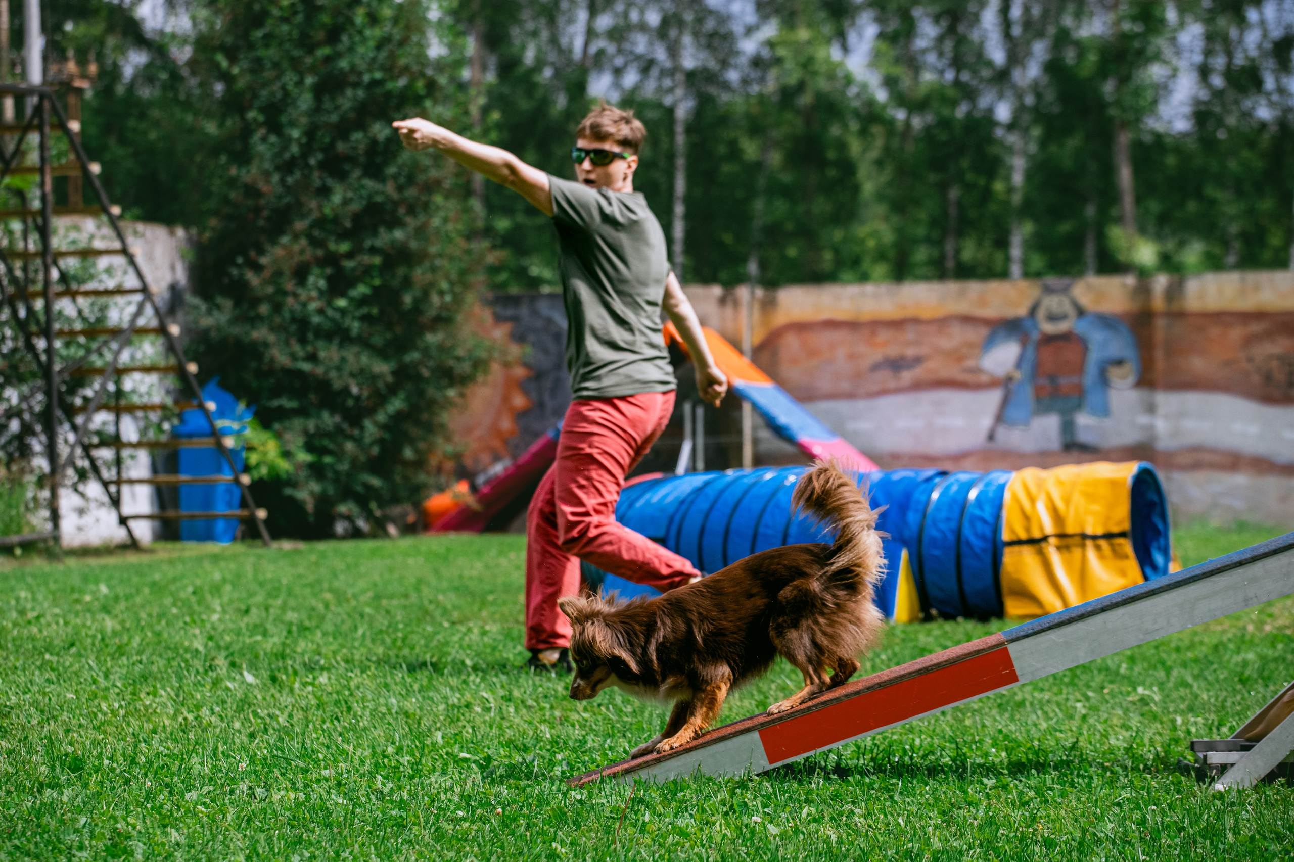 Соревнования по аджилити Долгопрудный 30.06.2025. Фотограф-анималист Татьяна Степанова