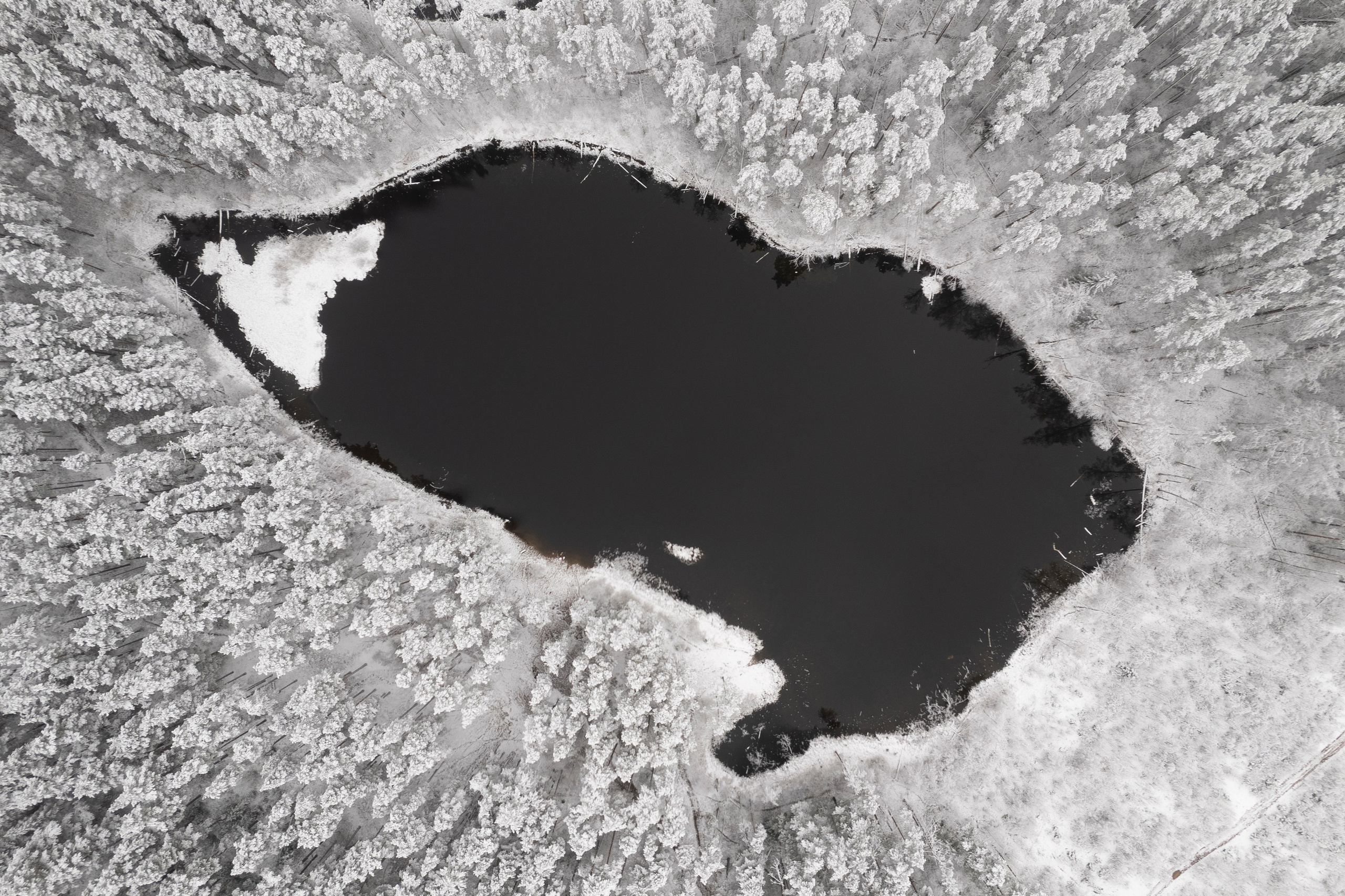 Пейзаж. Документальный фотограф Сергей Вдовин