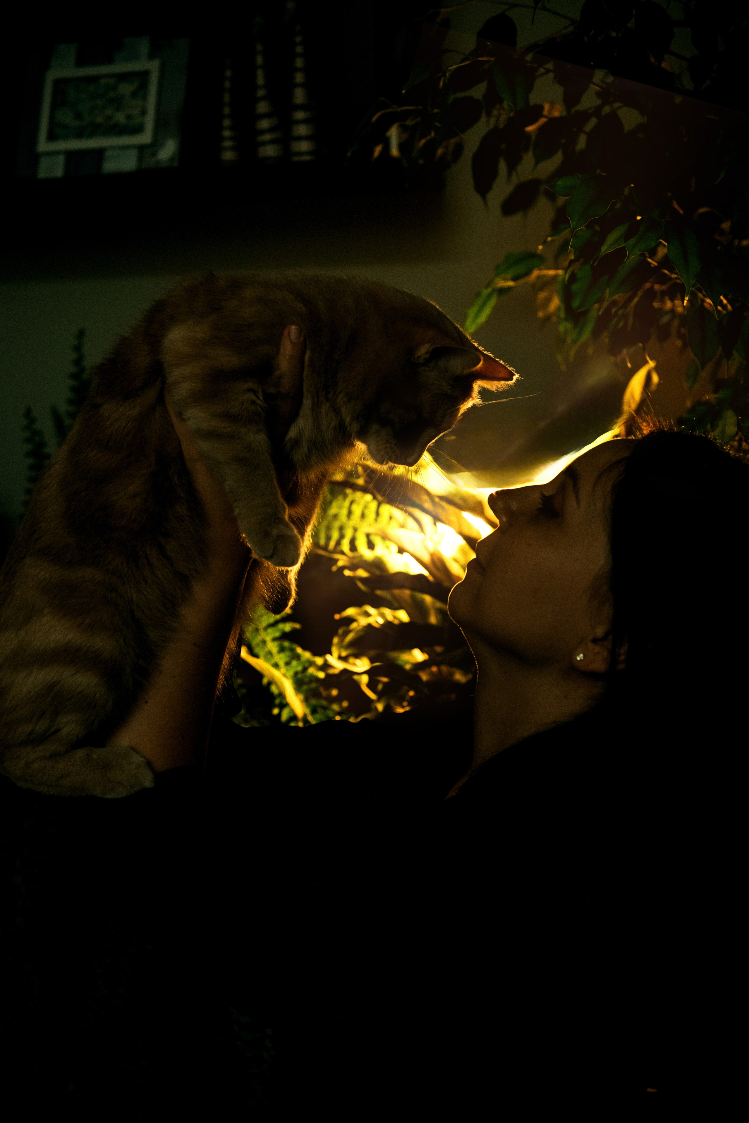 Домашняя женская фотосессия. Портретный фотограф в Чите Анна Камратова. Помогу Вам создать историю, в которой Вы — главный герой!