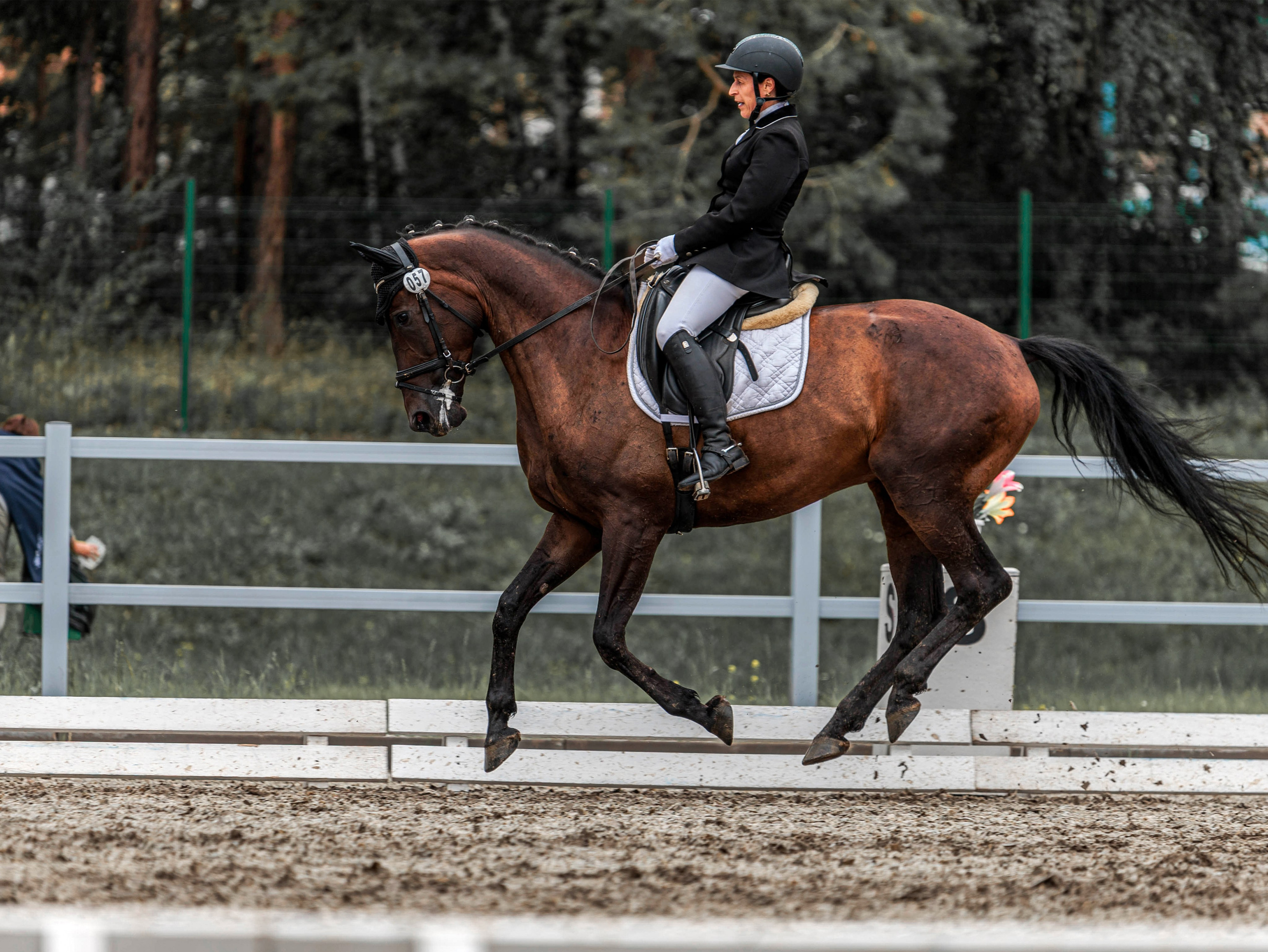 2025. Конный фотограф в Красноярске — Любовь Похабова