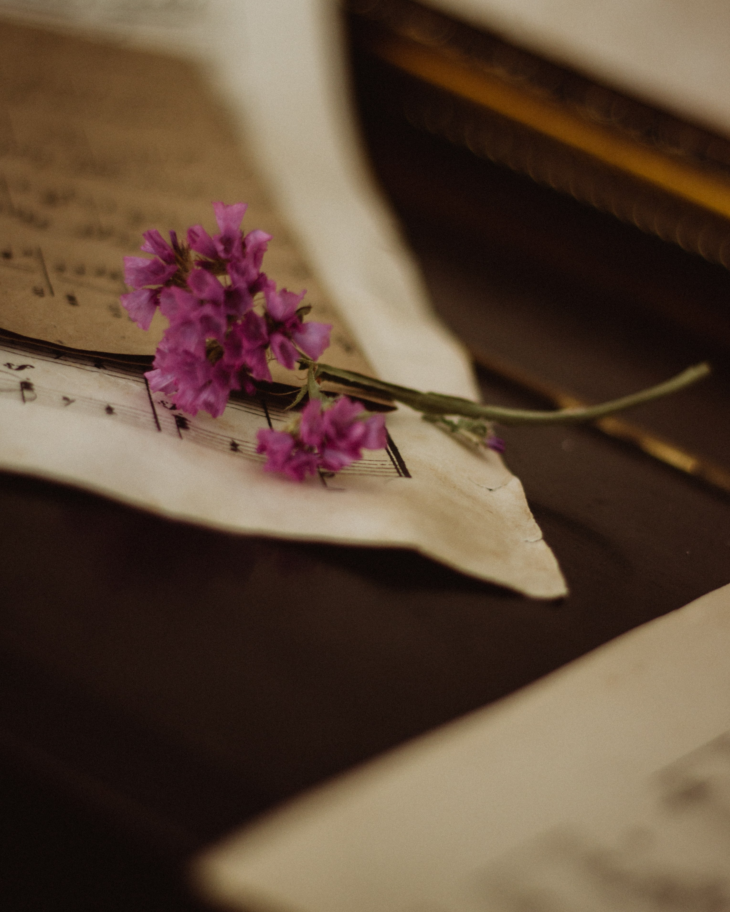 Индивидуальная история. Семейный фотограф в Нижнем Новгороде