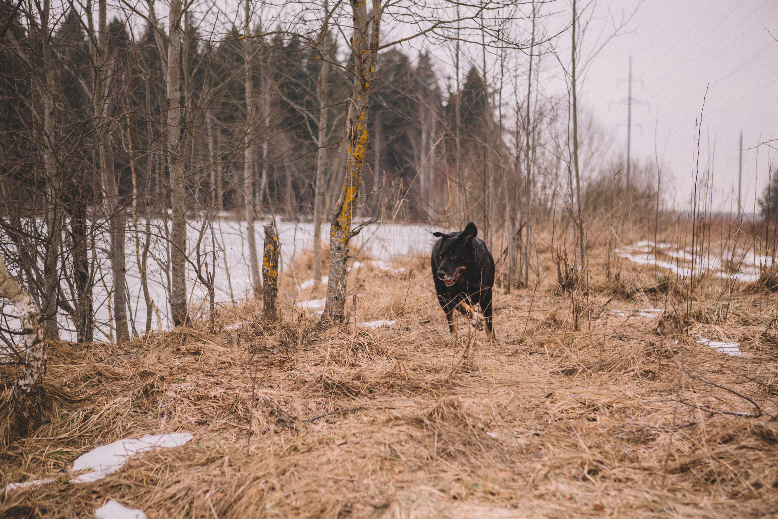 Alyona & Felix. Portrait, family and pet photographer in Cyprus, Ksenia Bourdelle
