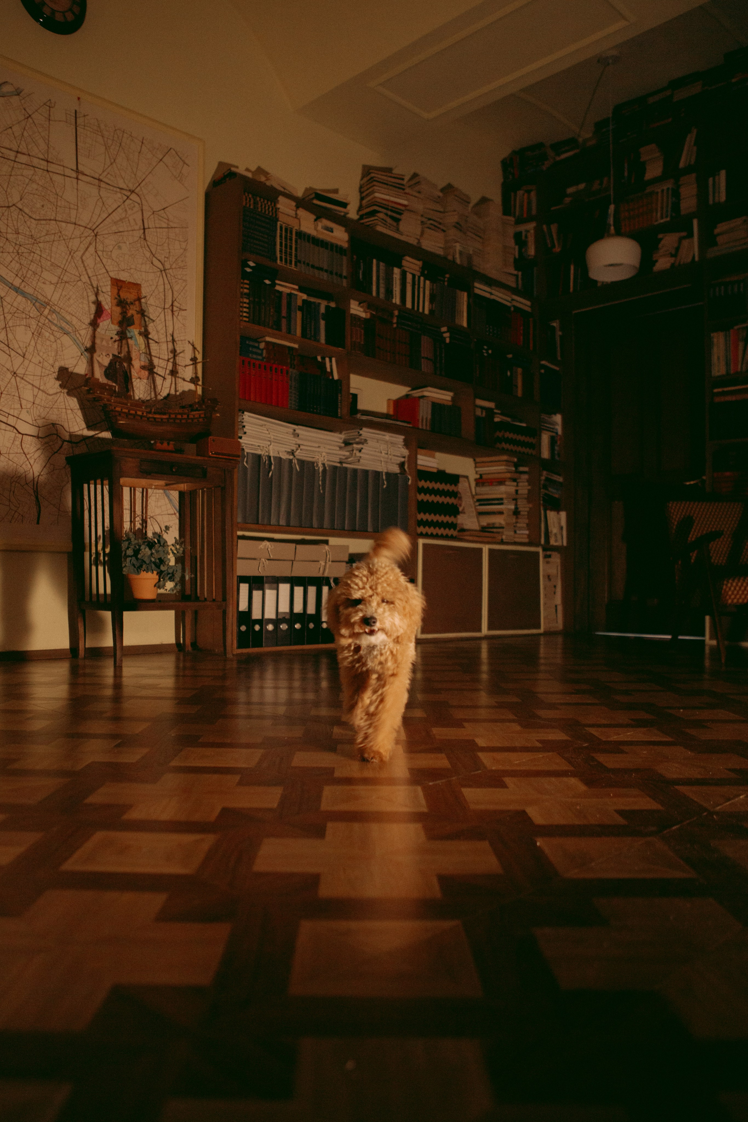 A cinematic daydream in the spirit of Wes Anderson’s style. Portrait, family and pet photographer in Cyprus, Ksenia Bourdelle