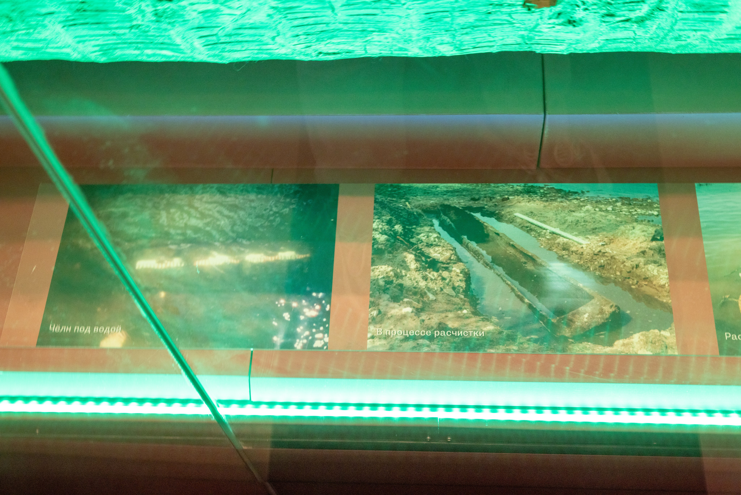 Поездка на поле Кулеково. Фотограф в Туле Крупский АнДРей. Фотостудия «КАДР71» в Туле