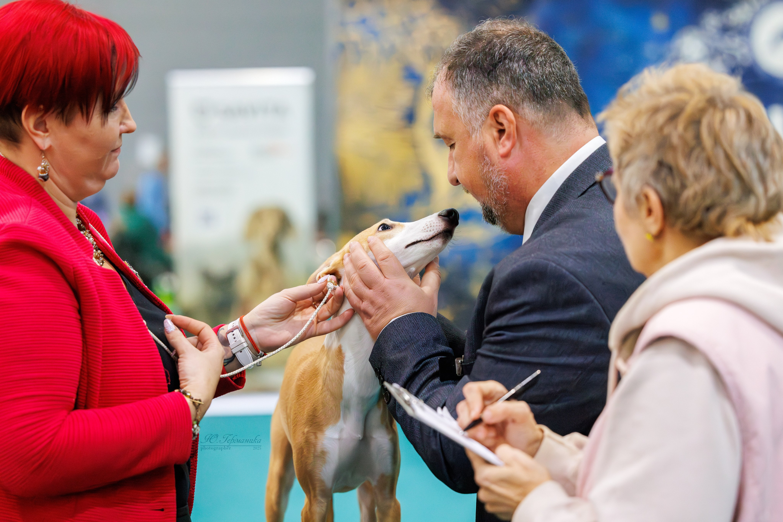 Питер ротвейлеры 18.01,Крокус 19.01.2025. Фотограф-анималист Юлия Германика