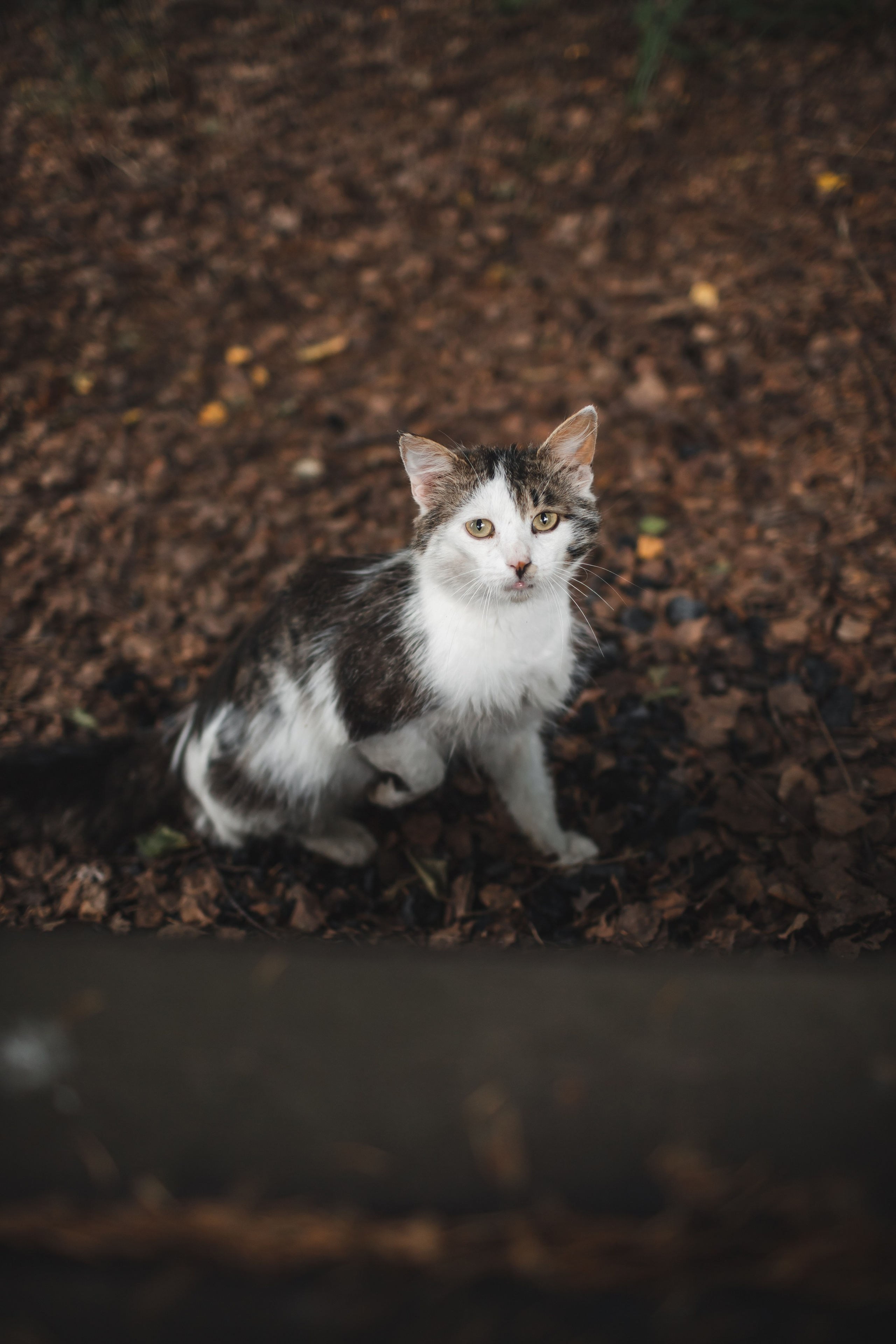 ПРИРОДА. Фотограф Александр Бормотин