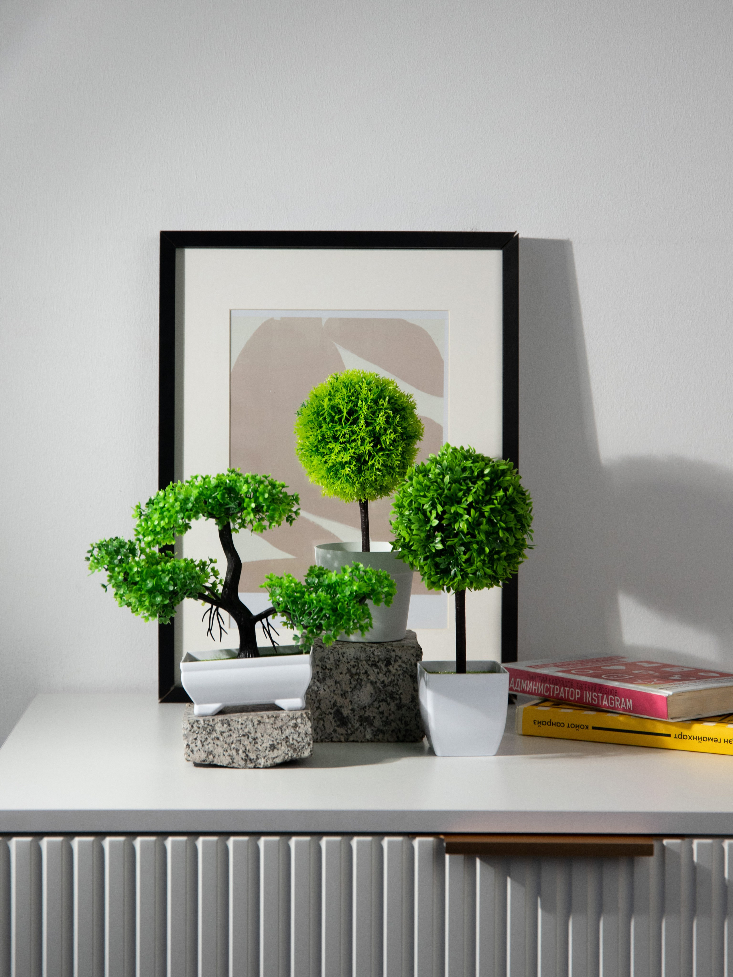 Декоративные деревья. Коммерческий фотограф в Санкт-Петербурге (СПб) Екатерина Панчёха, Панчёшка