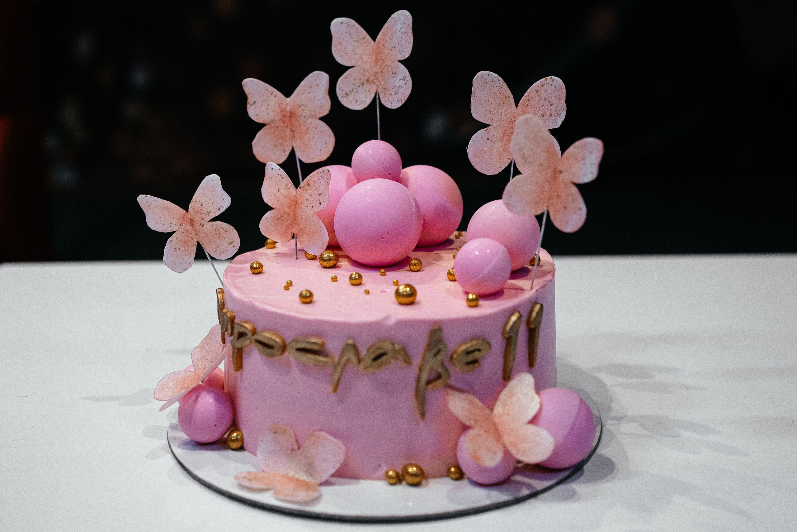 День Рождения дочки Елены Башкирцевой. Главная