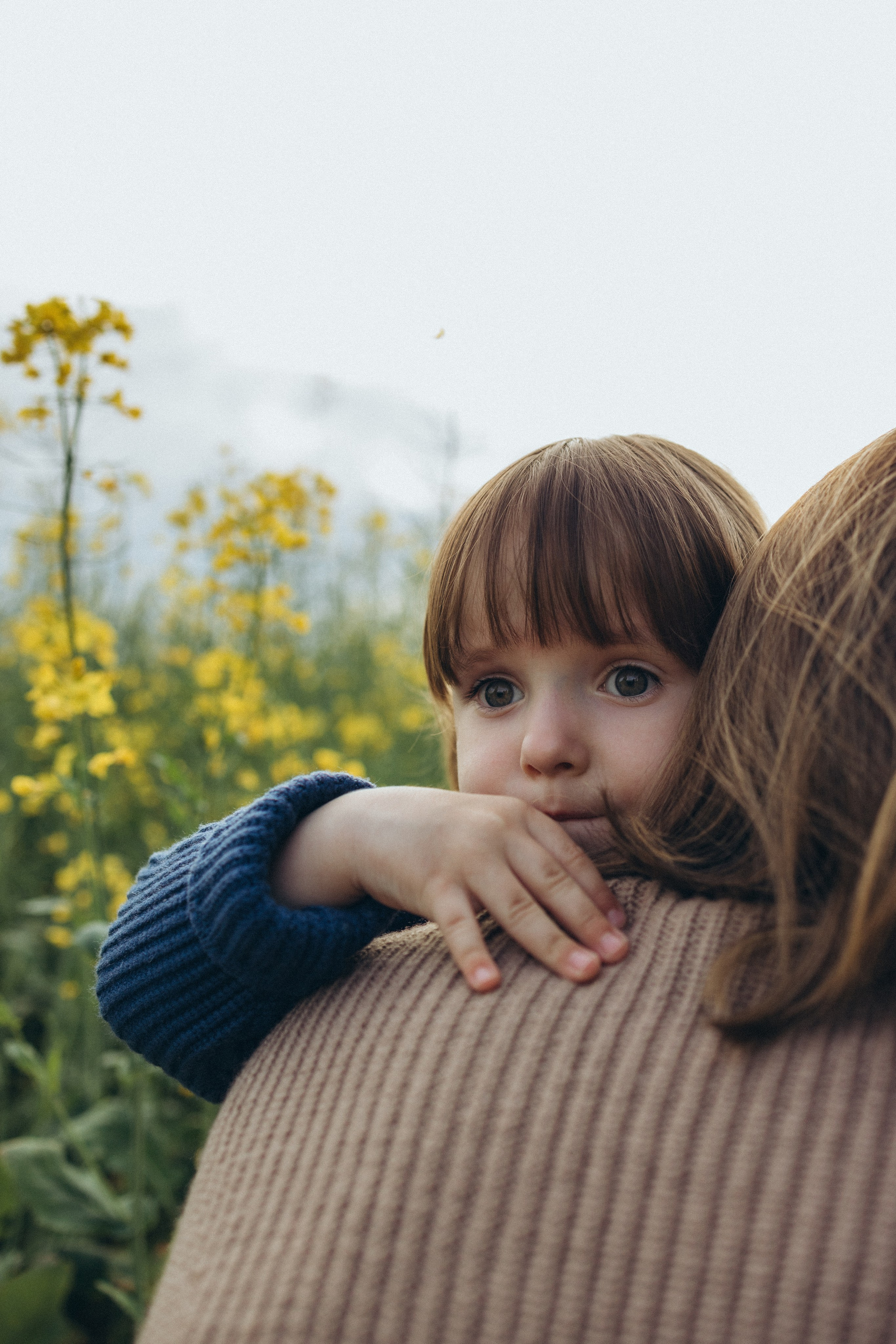 После дождя. Фотограф Елена Рябцева