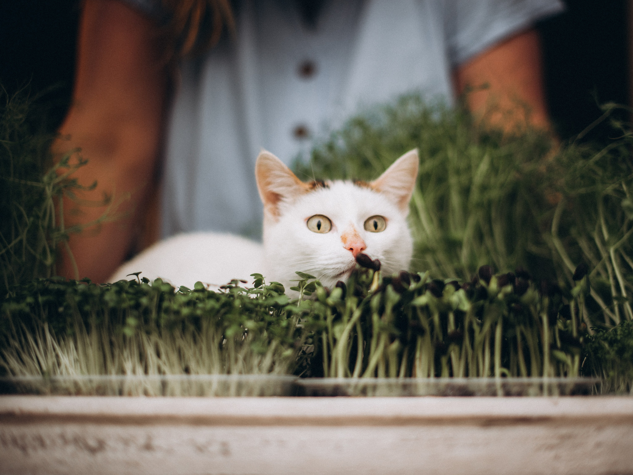 Лена Громова. Фотограф Любовь Подосенова Липецк|Воронеж