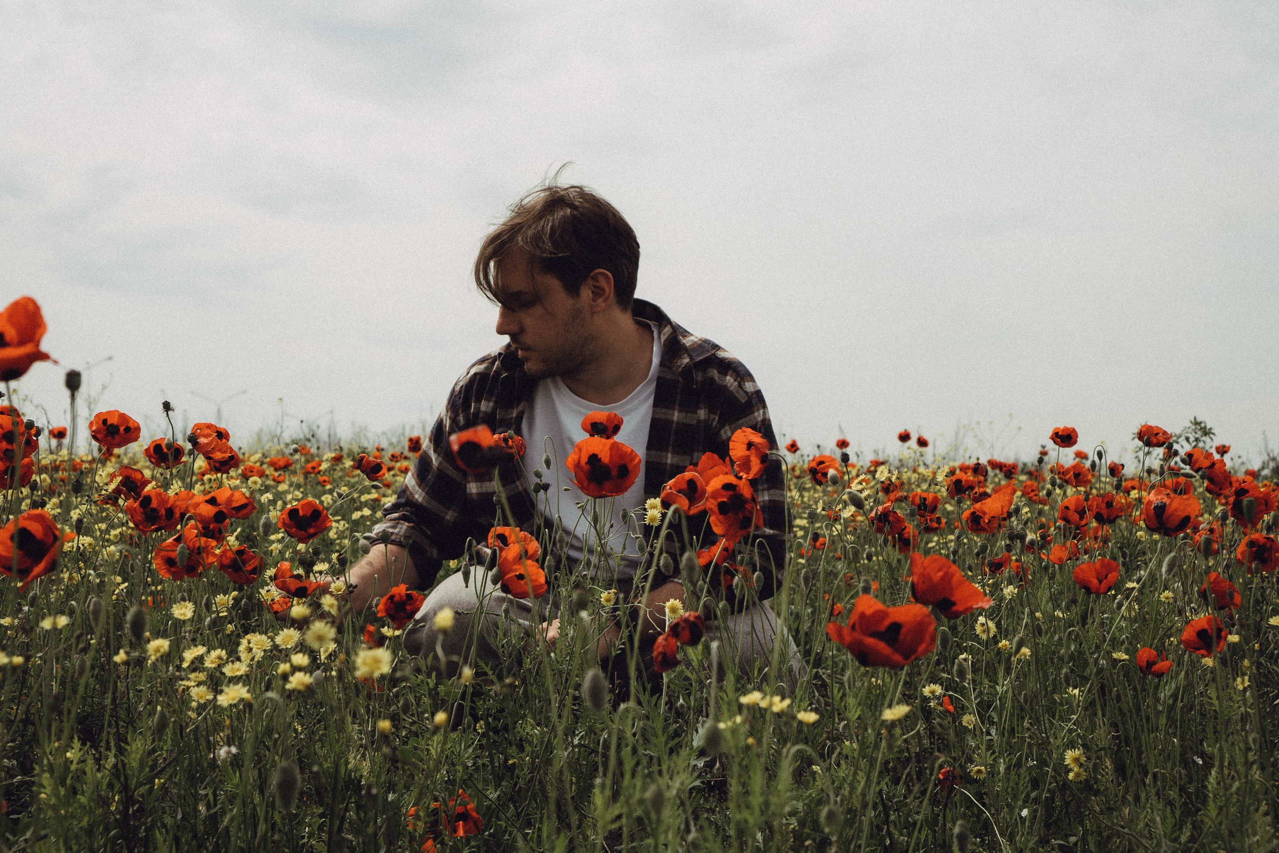 Маки. Профессиональный фотограф, Санкт-Петербург — Виктория Богомолова